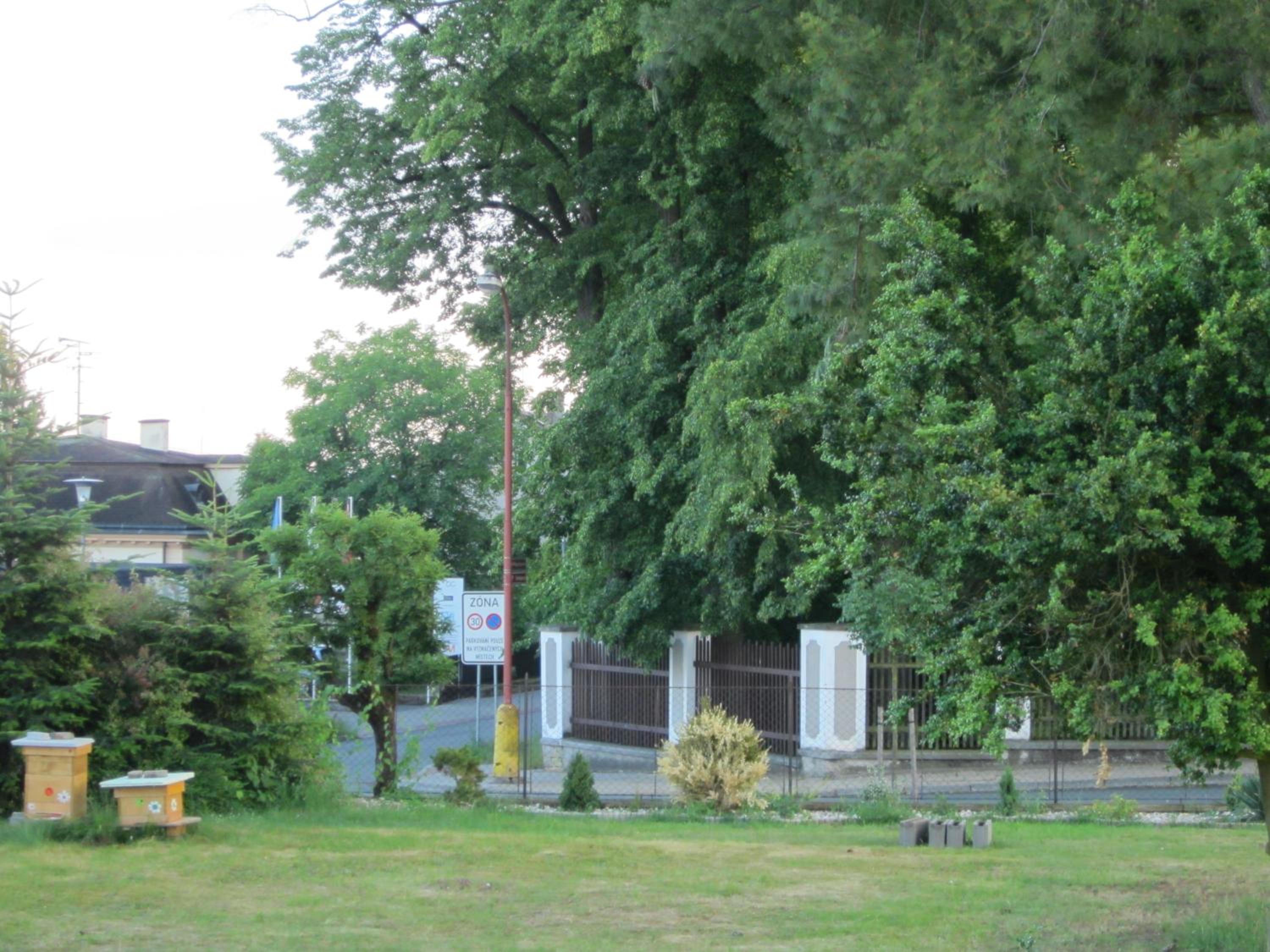Apartmán U Borovice