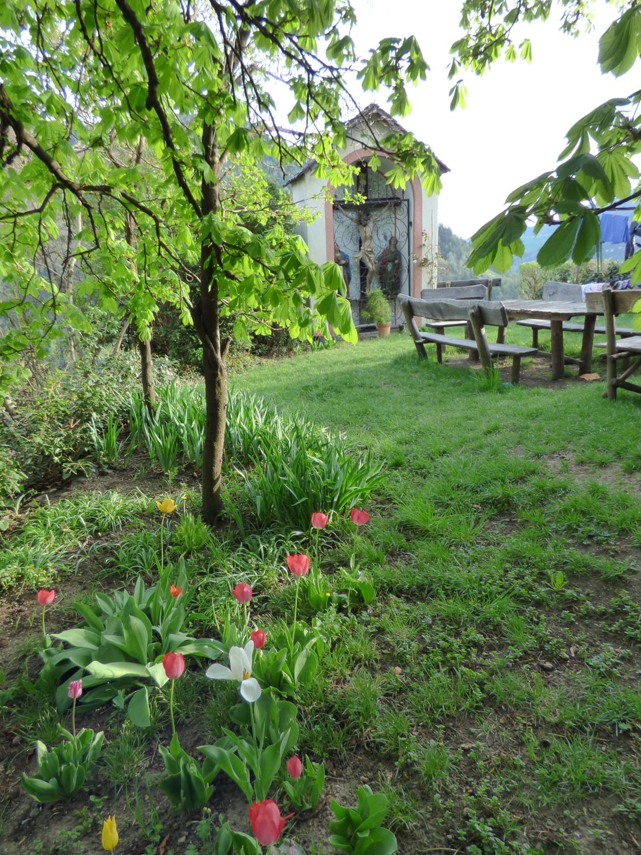 Photo 25