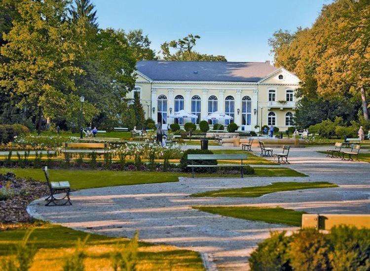 Piastowski26, photo 39
