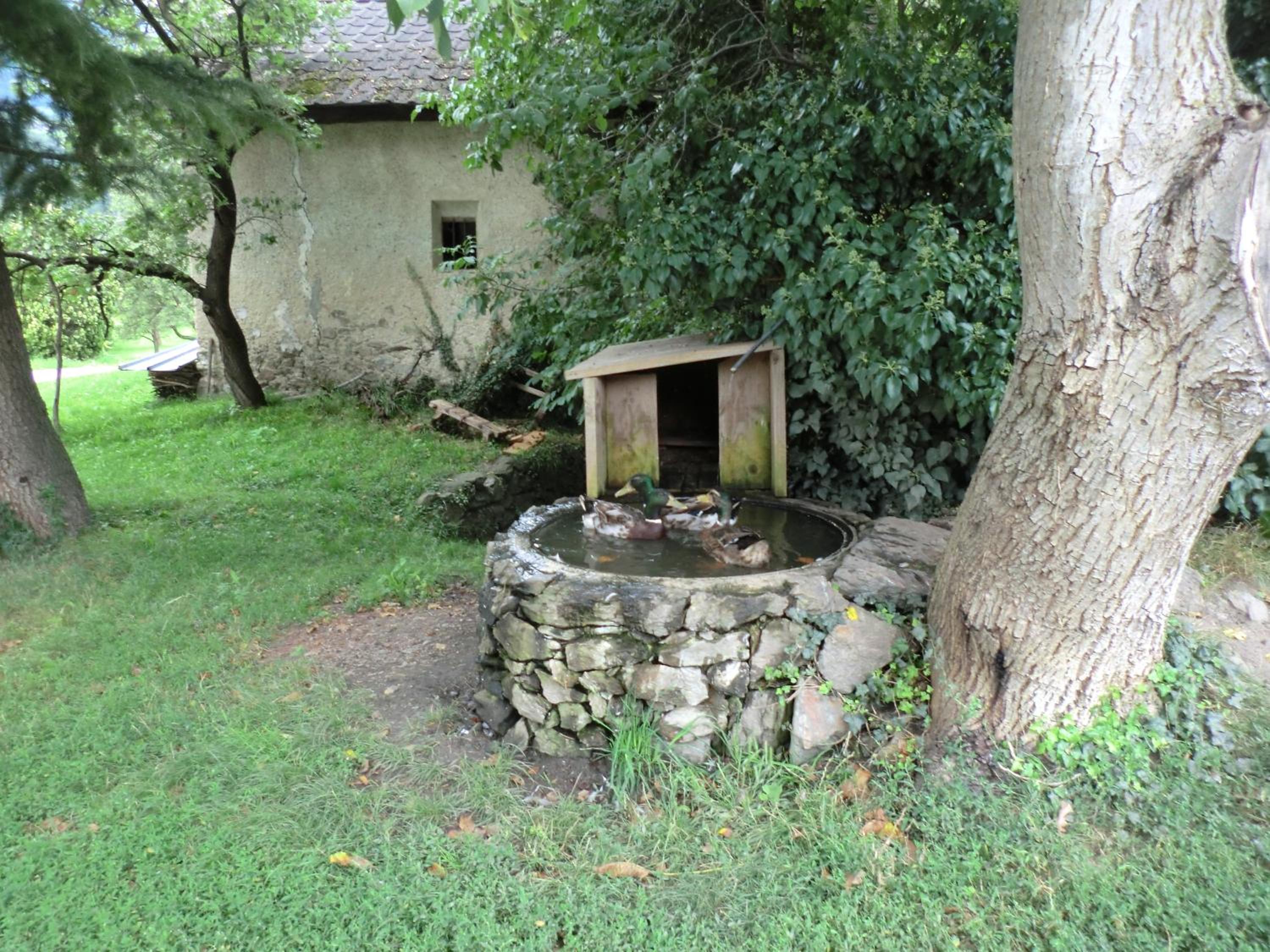 Photo 30
