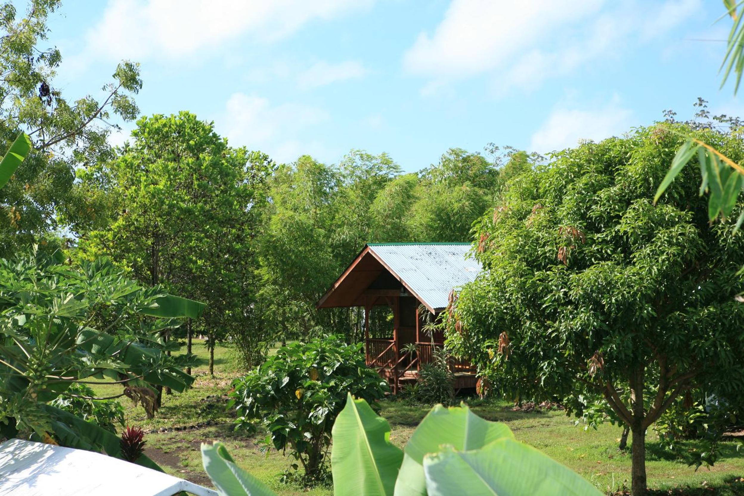 Kirpal Meditation and Ecological Center