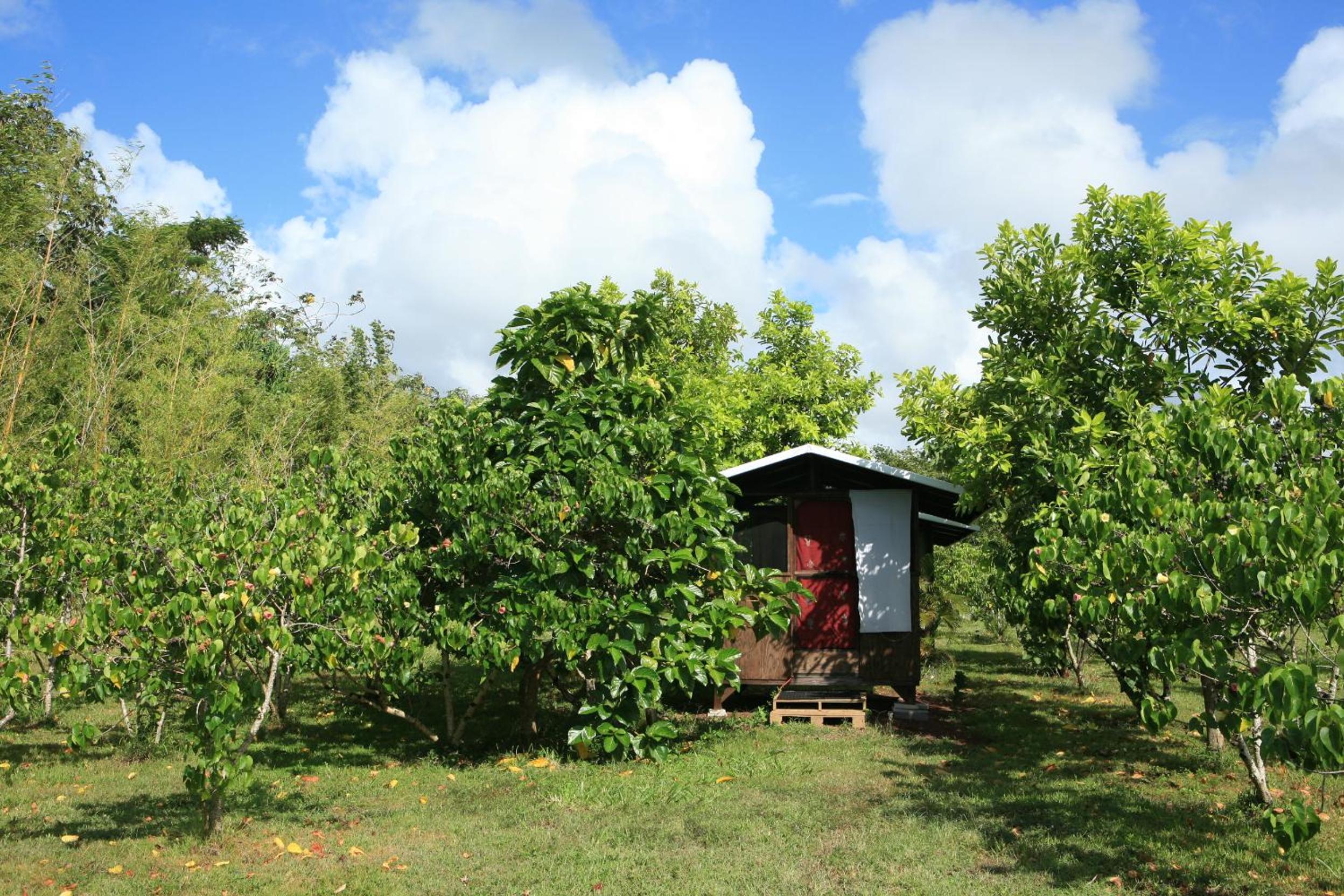 Kirpal Meditation and Ecological Center