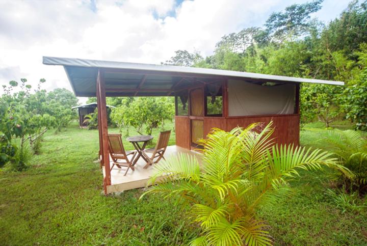 Kirpal Meditation and Ecological Center