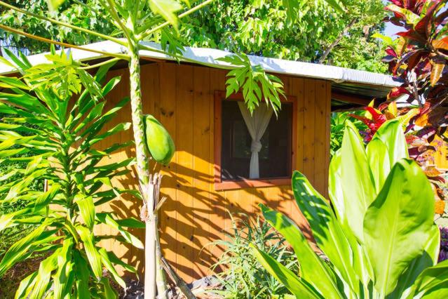 Kirpal Meditation and Ecological Center