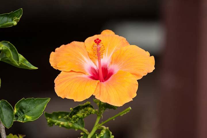Kirpal Meditation and Ecological Center