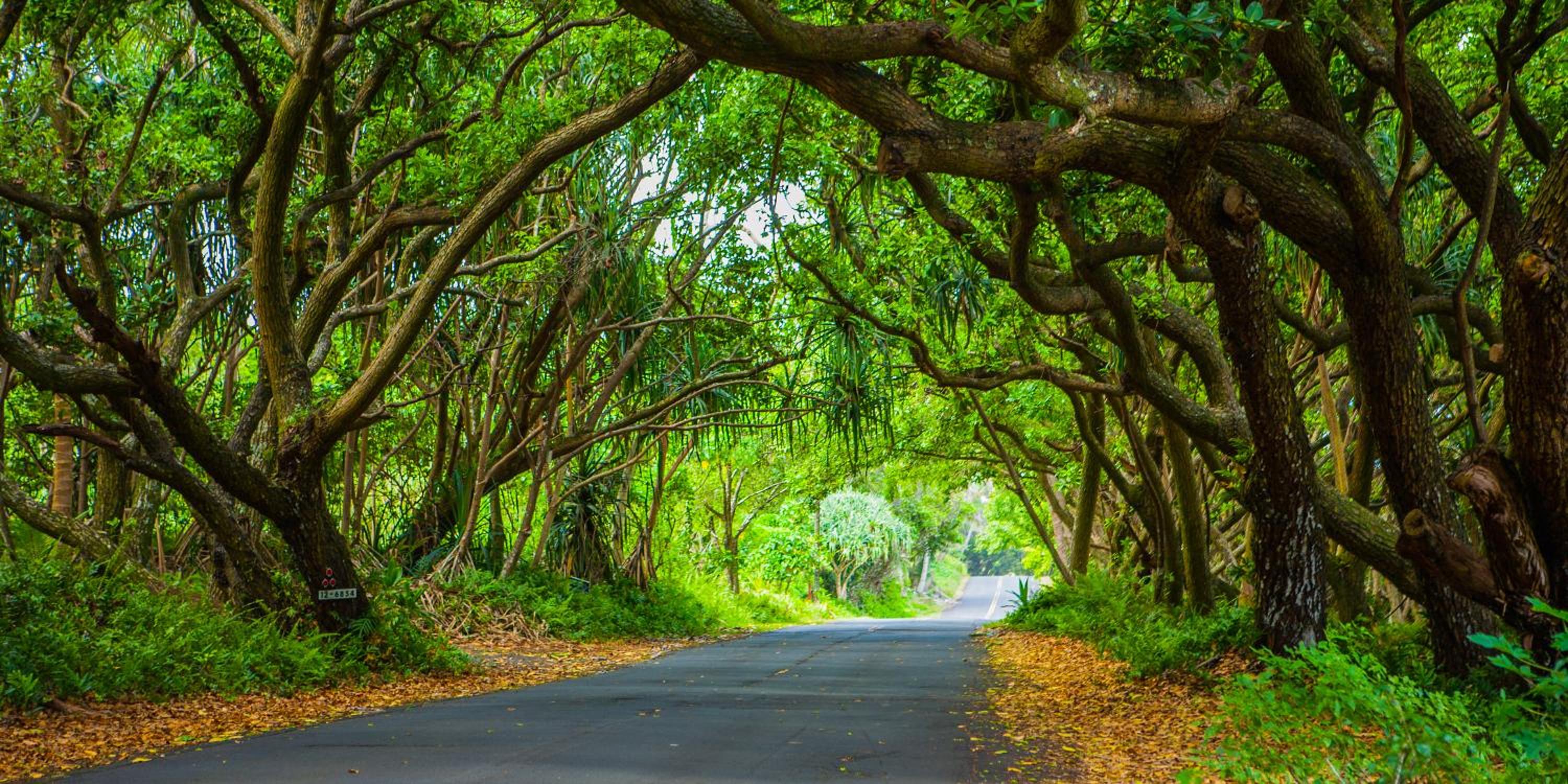 Kirpal Meditation and Ecological Center