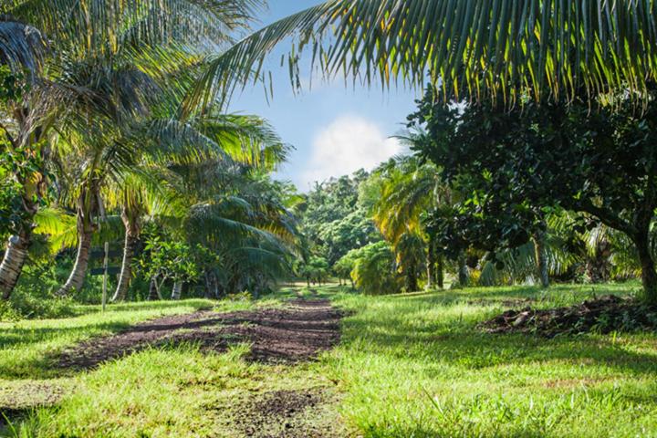 Kirpal Meditation and Ecological Center