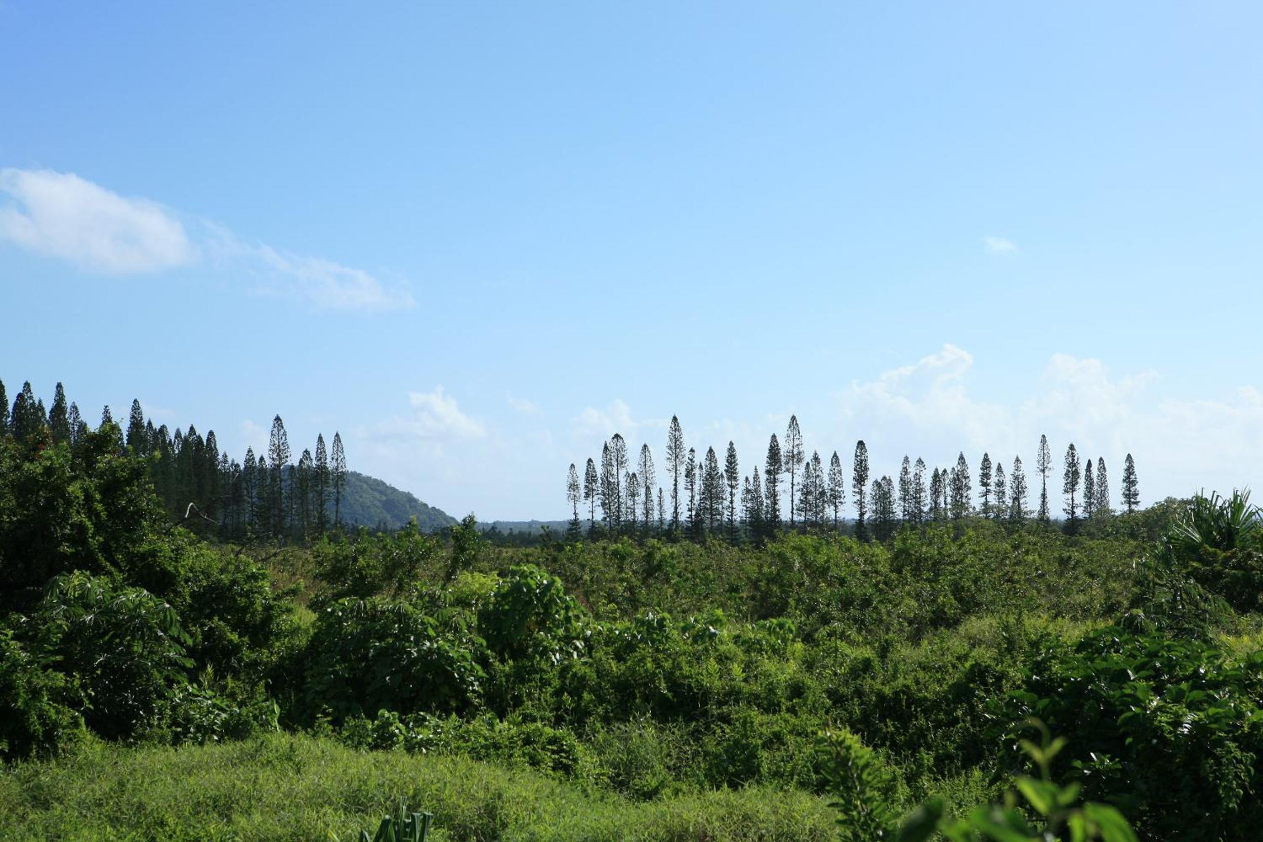 Kirpal Meditation and Ecological Center