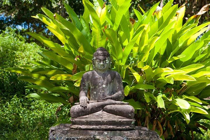 Kirpal Meditation and Ecological Center