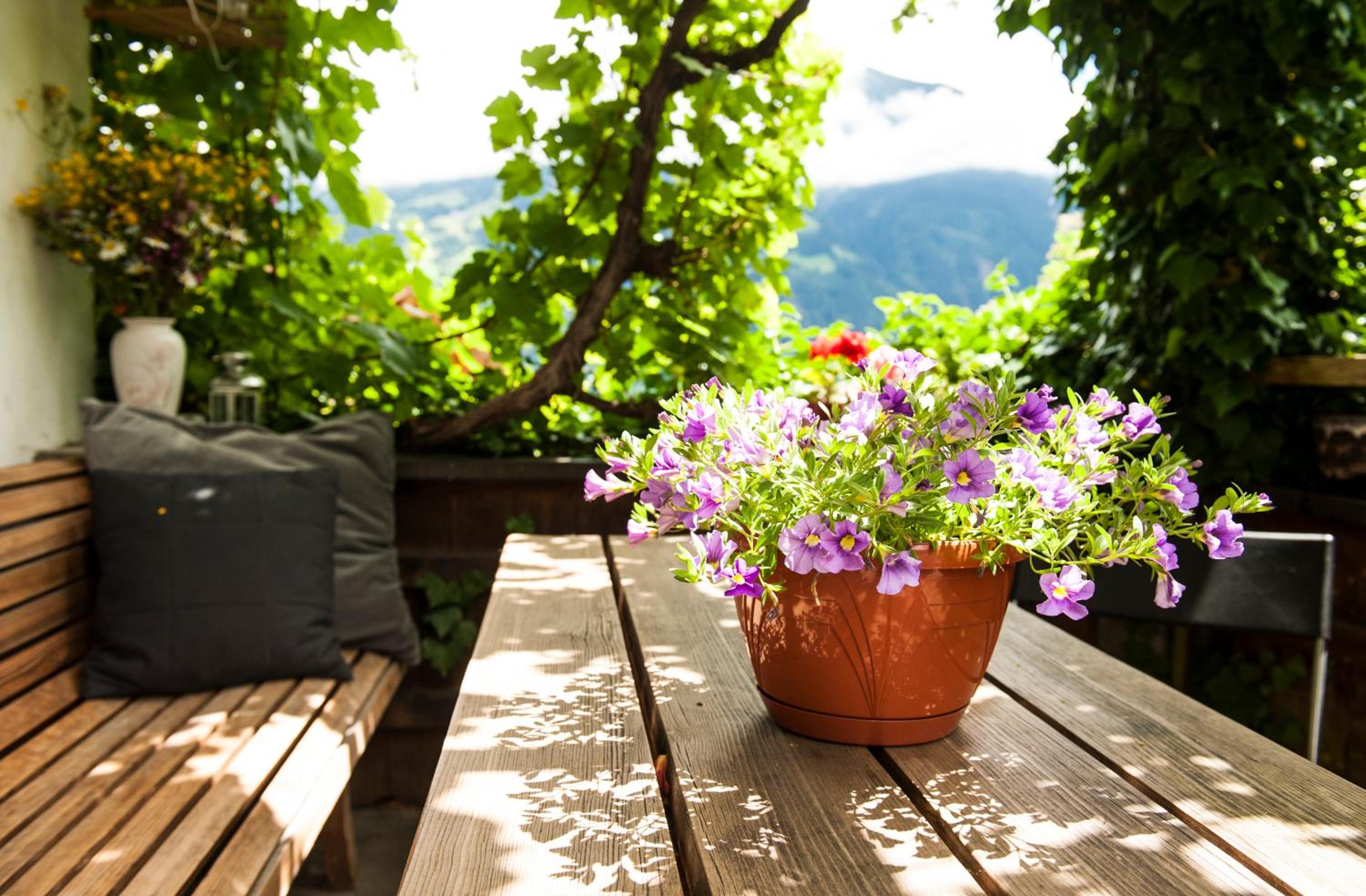 Haus Sonneneck view 5