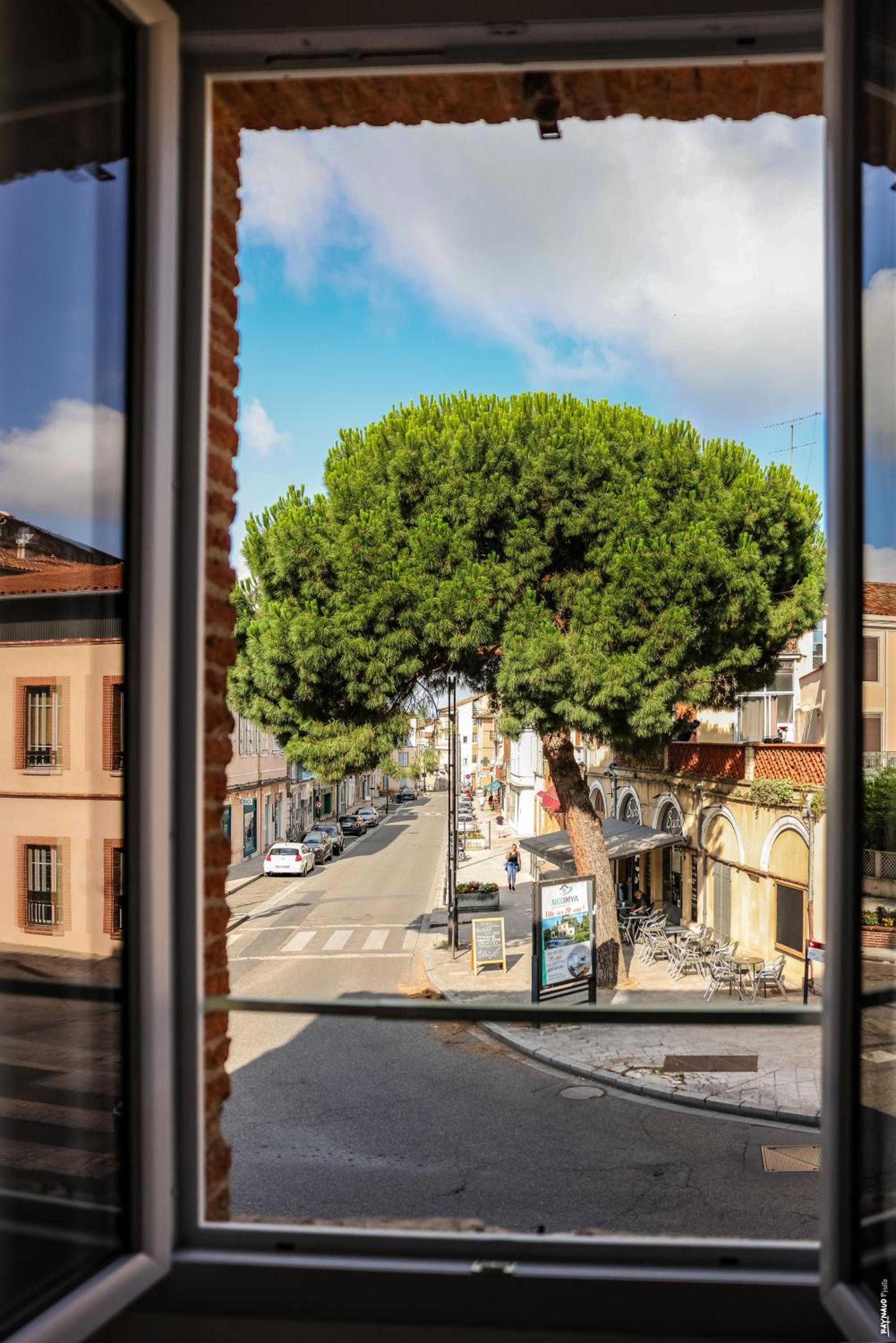 Appartement Gambetta - Hypercentre - Gaillac