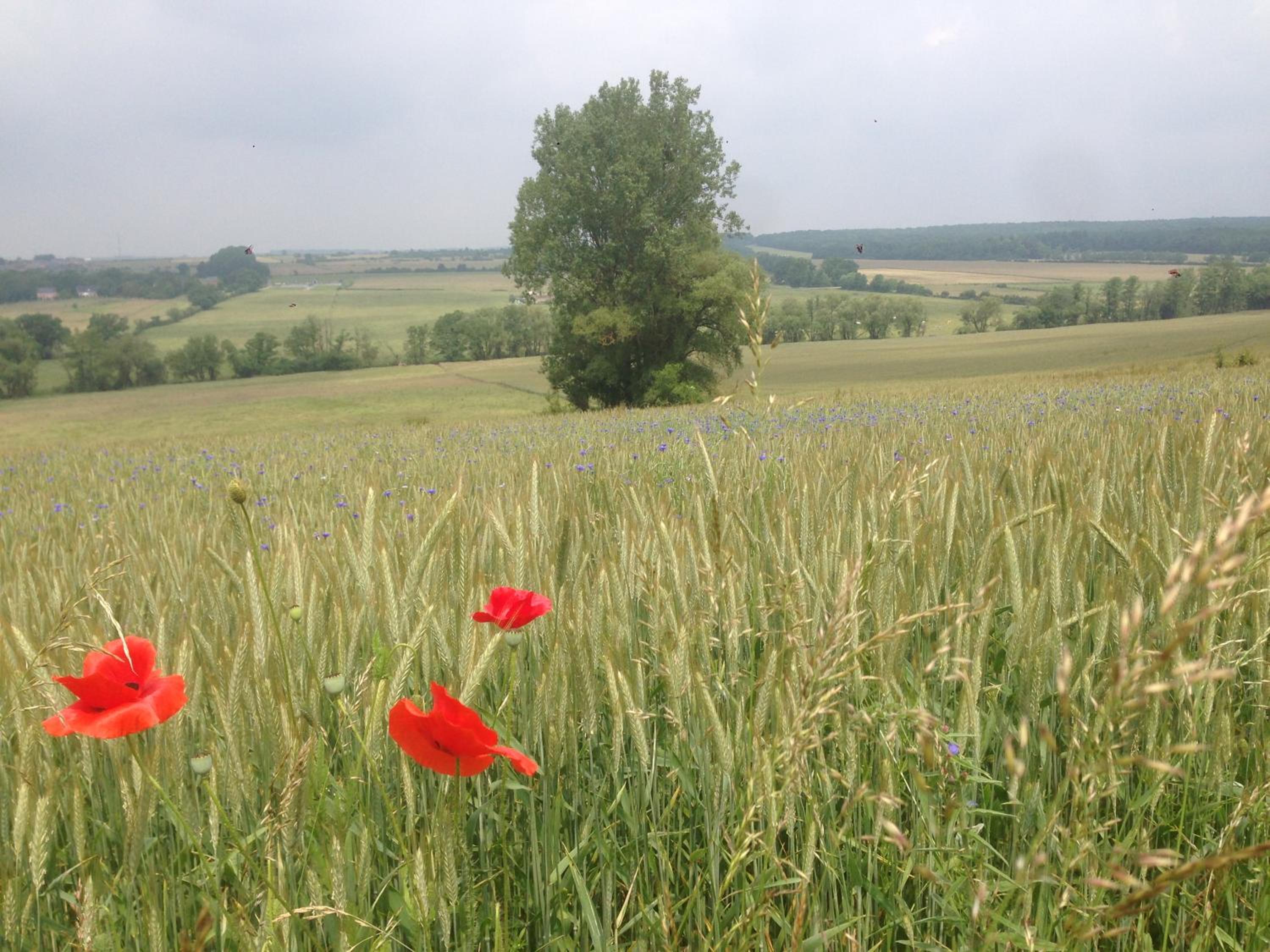 Ferme Aux Moines