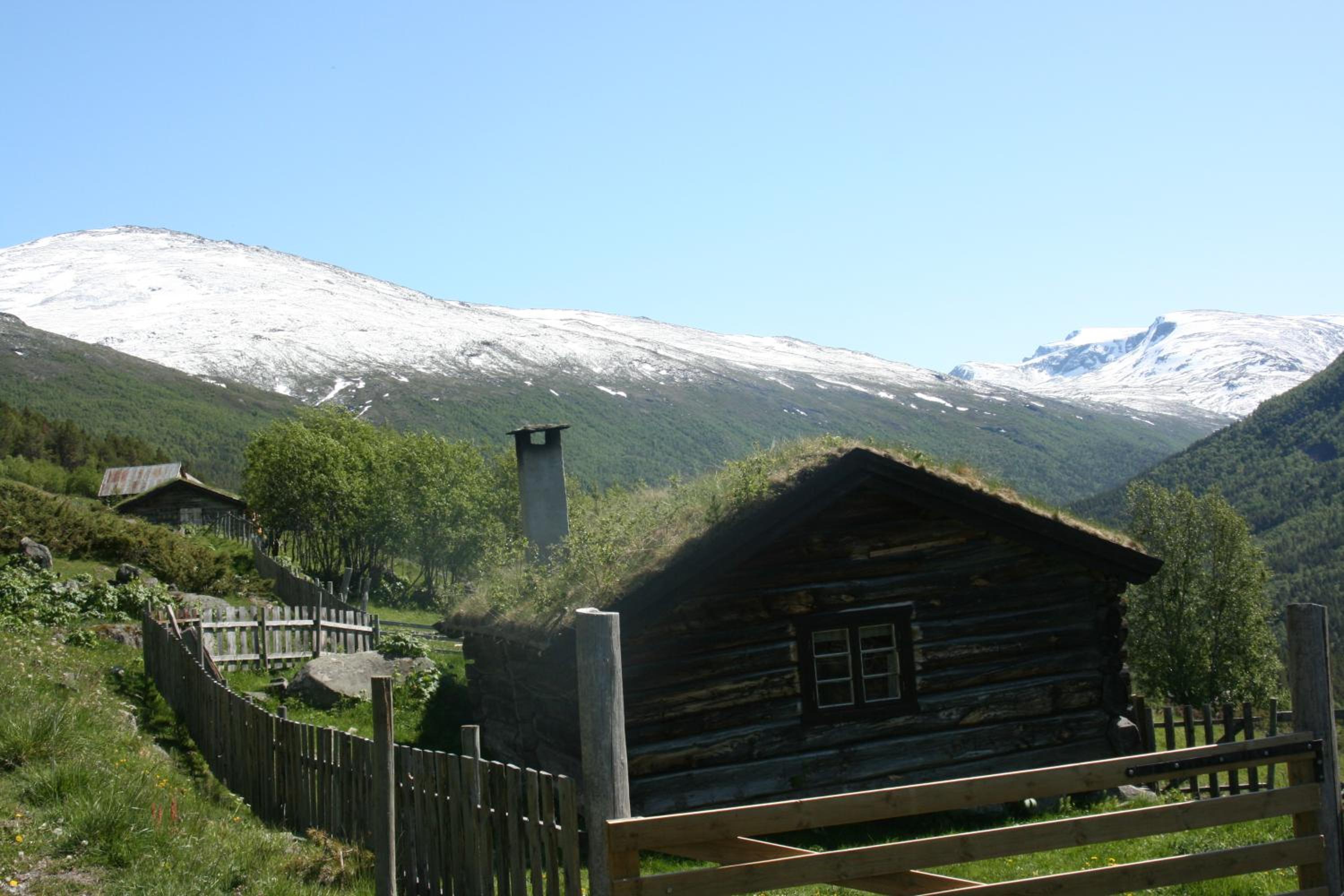 Photo 18