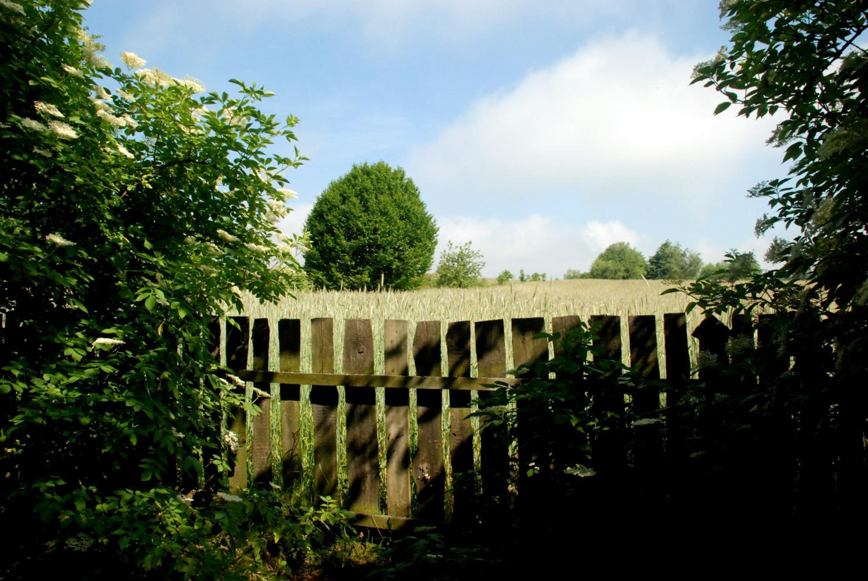 Photo 30