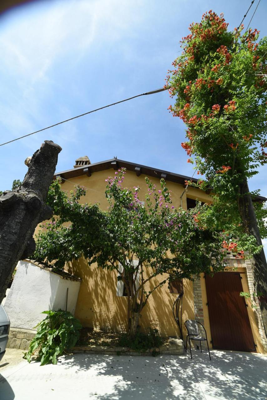 Agriturismo " La Valle degli Ulivi" view 3