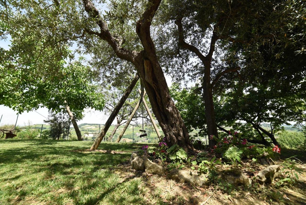 Agriturismo " La Valle degli Ulivi" view 5