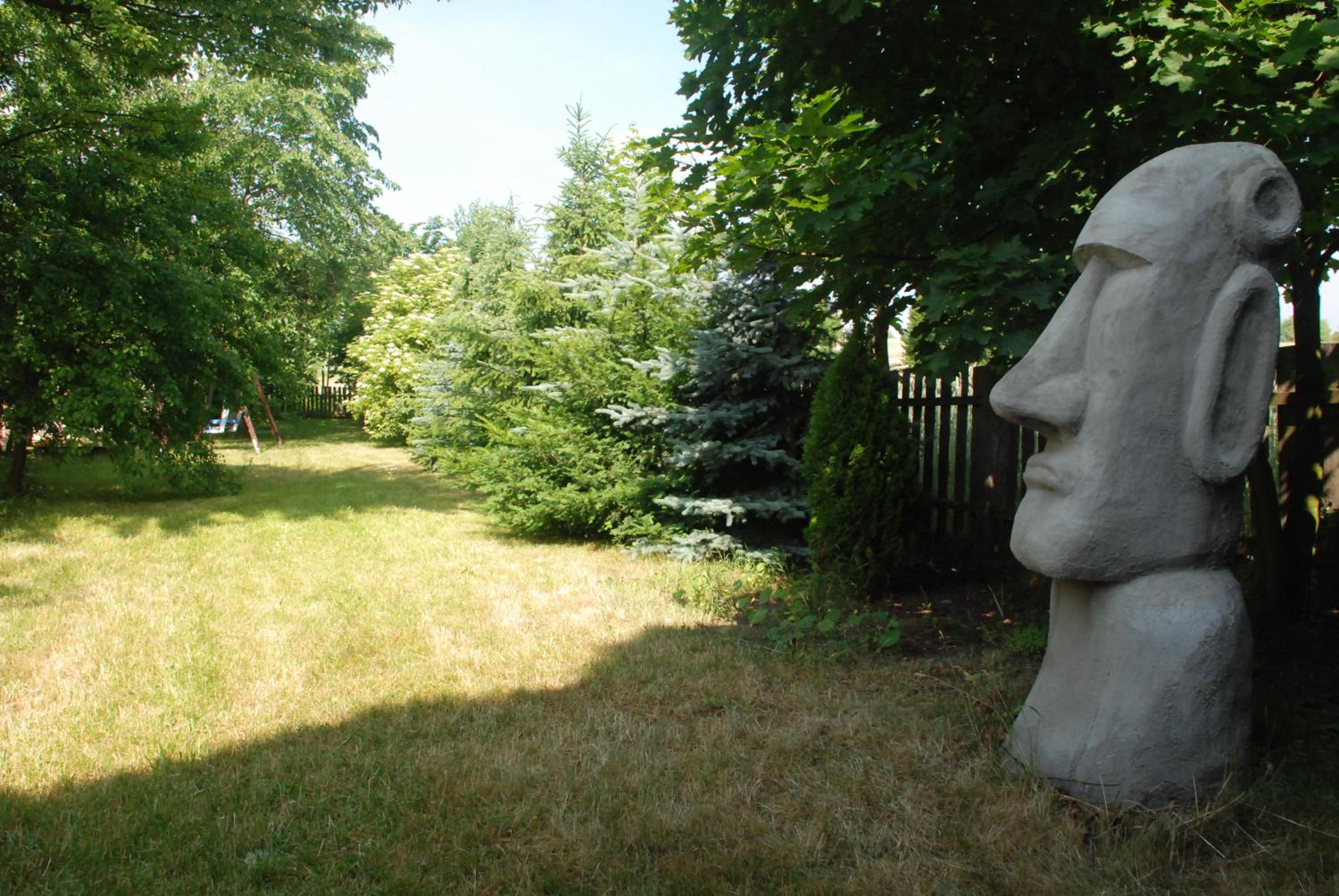 Photo 29