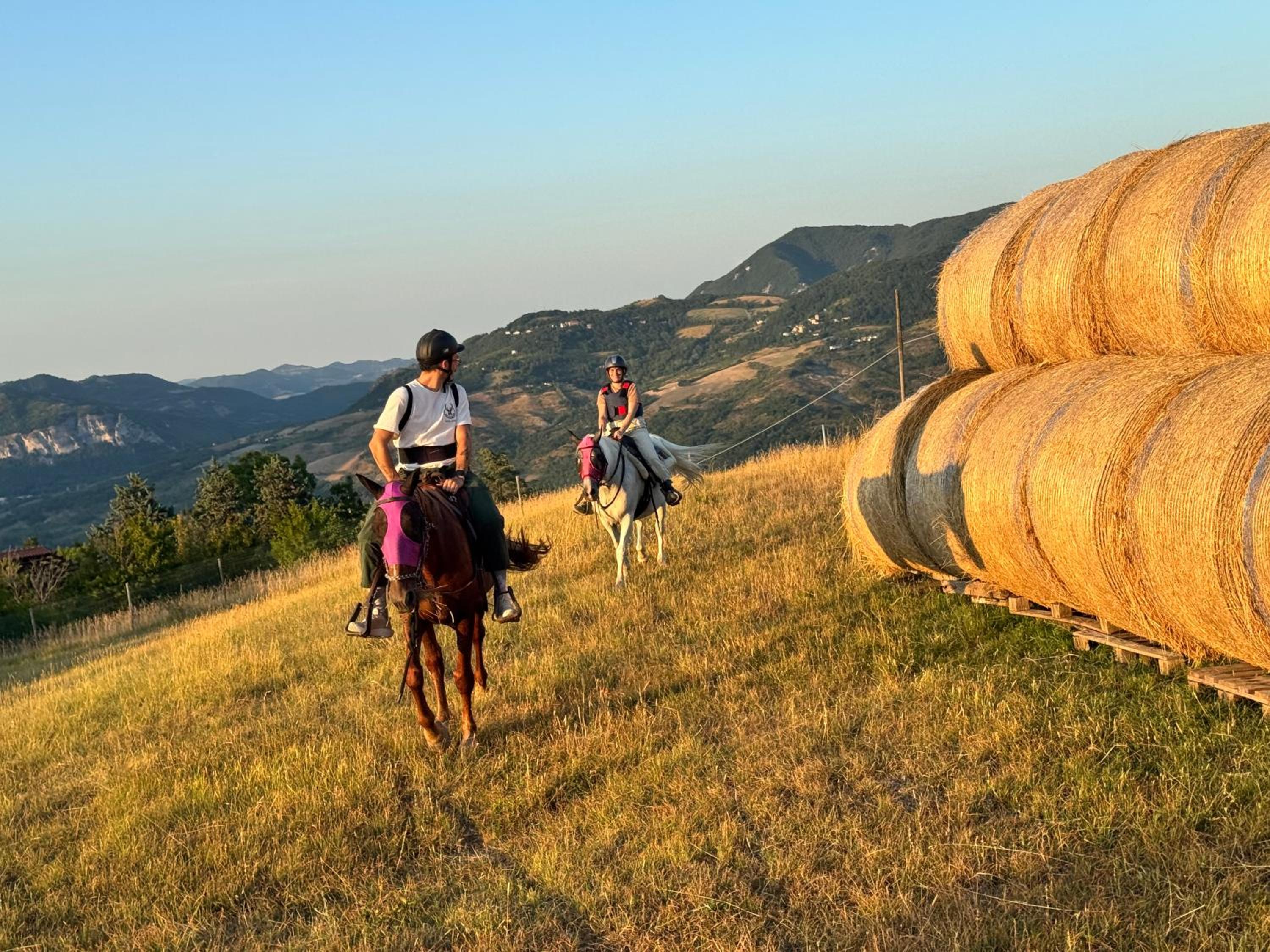 Appartamento Tenuta Mattei