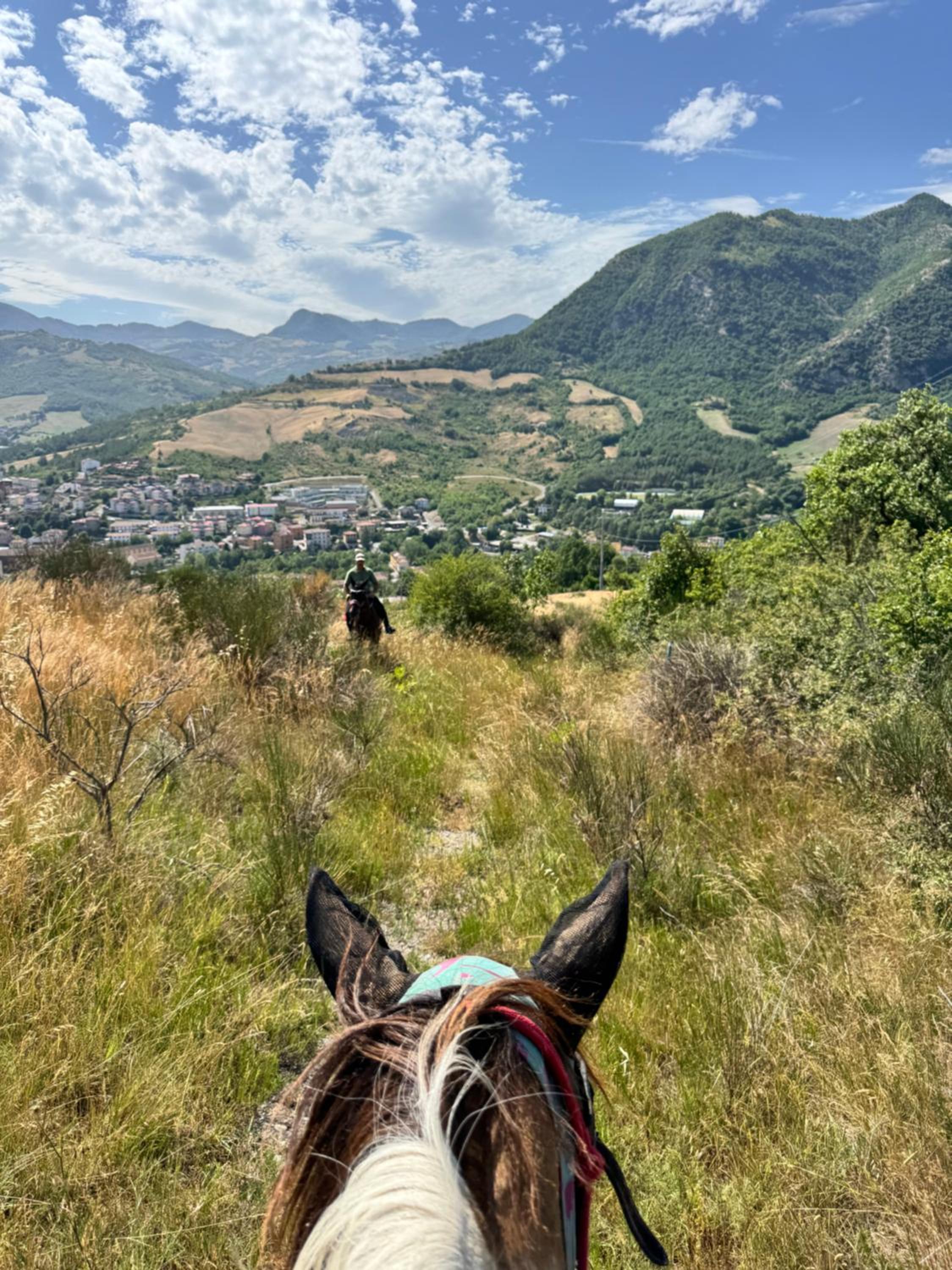 Appartamento Tenuta Mattei
