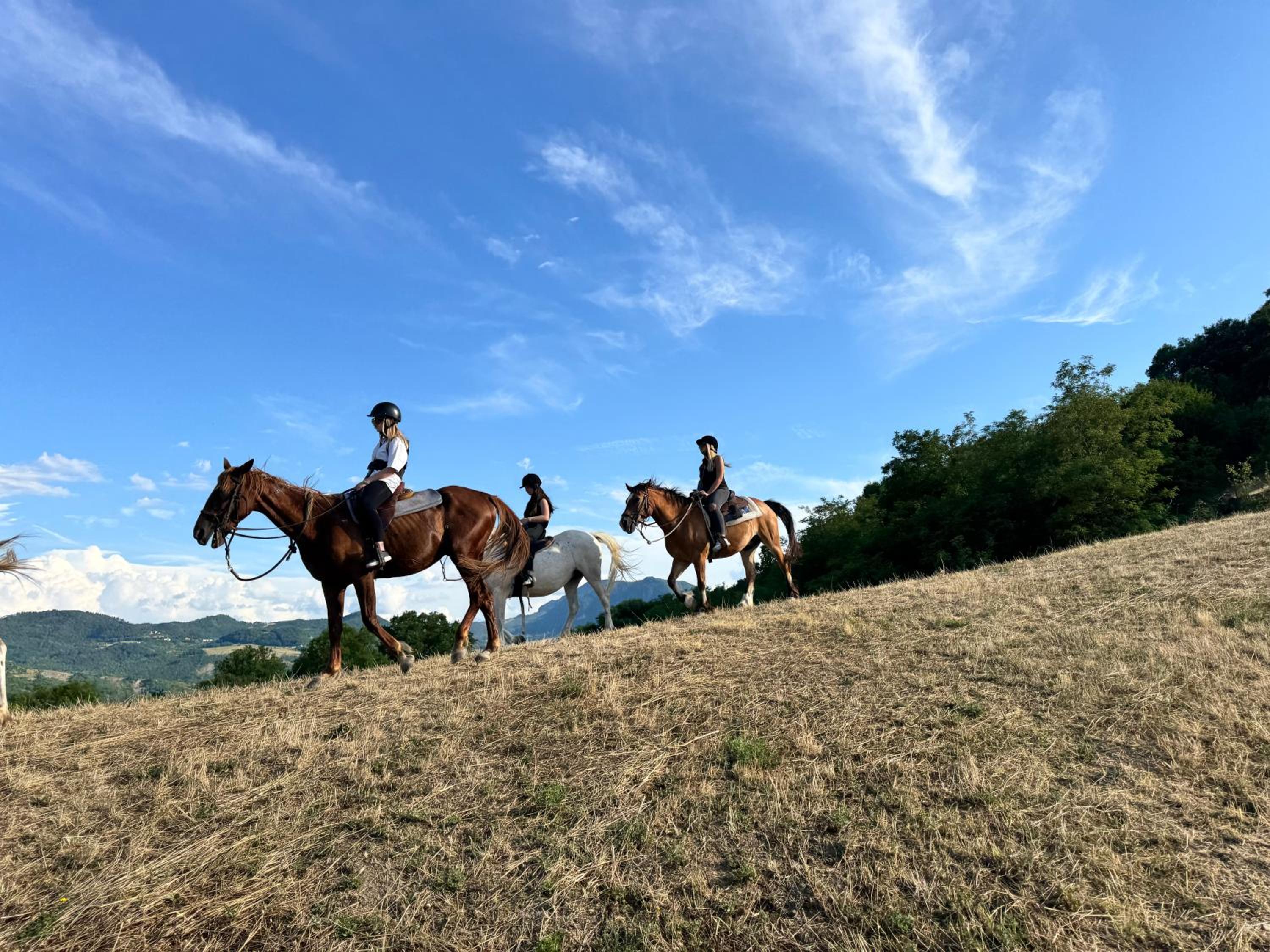 Appartamento Tenuta Mattei