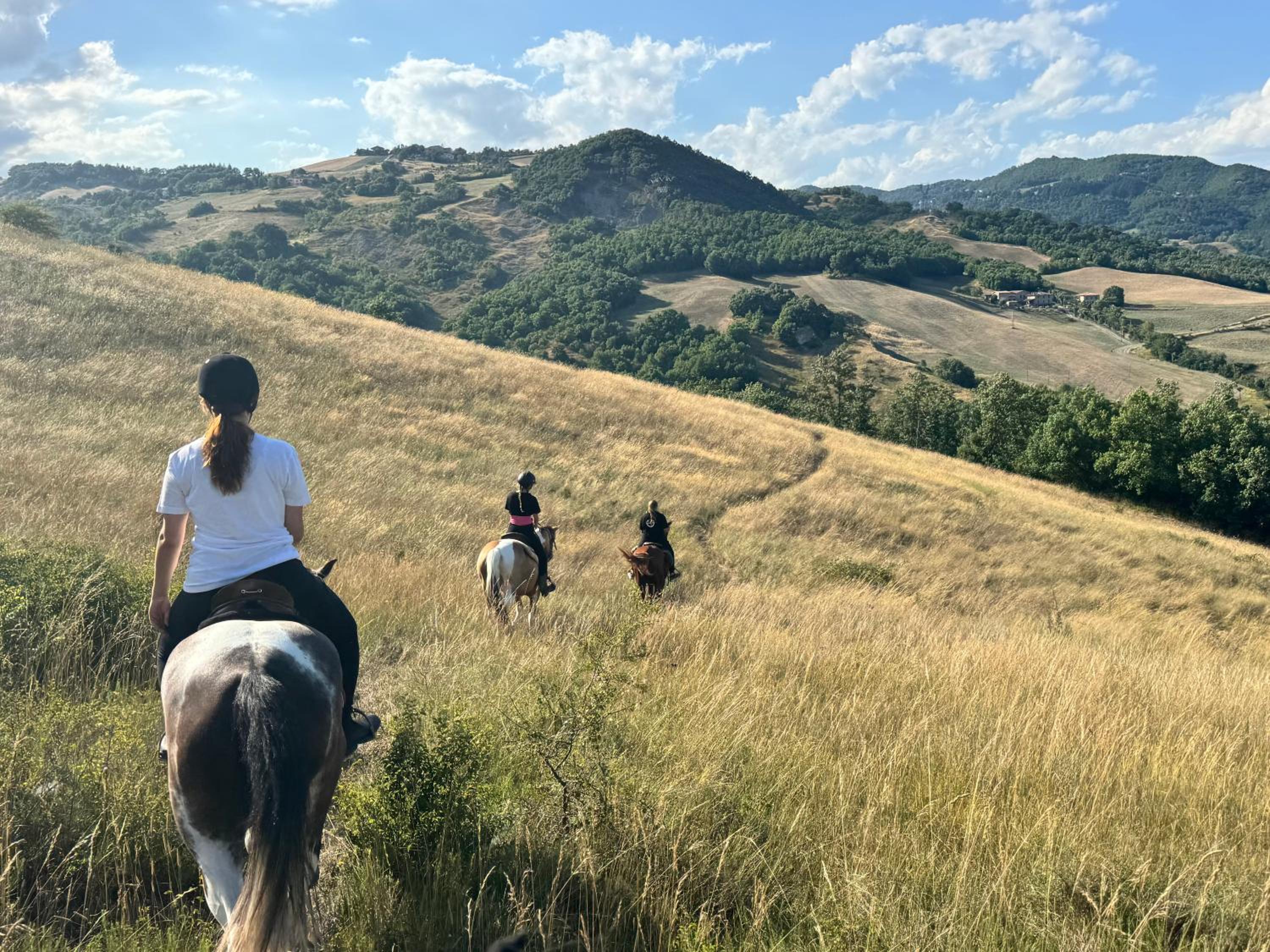Appartamento Tenuta Mattei