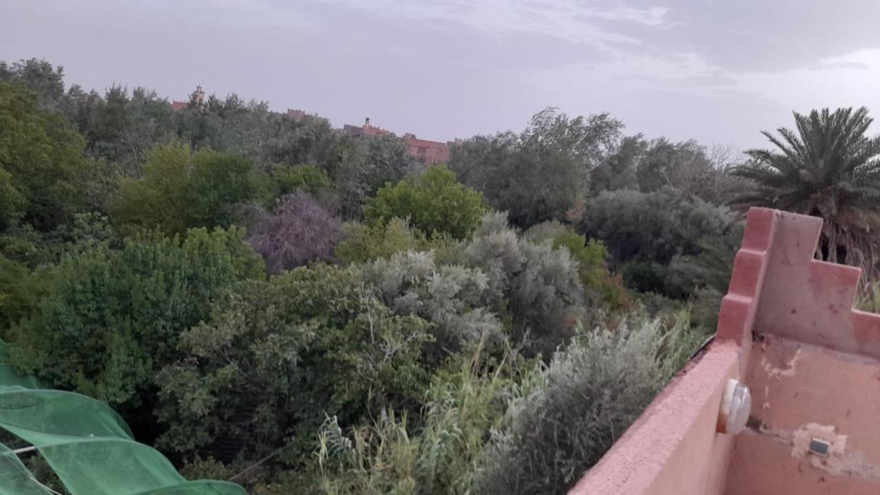 Ecogite La Tourterelle - Guesthouse