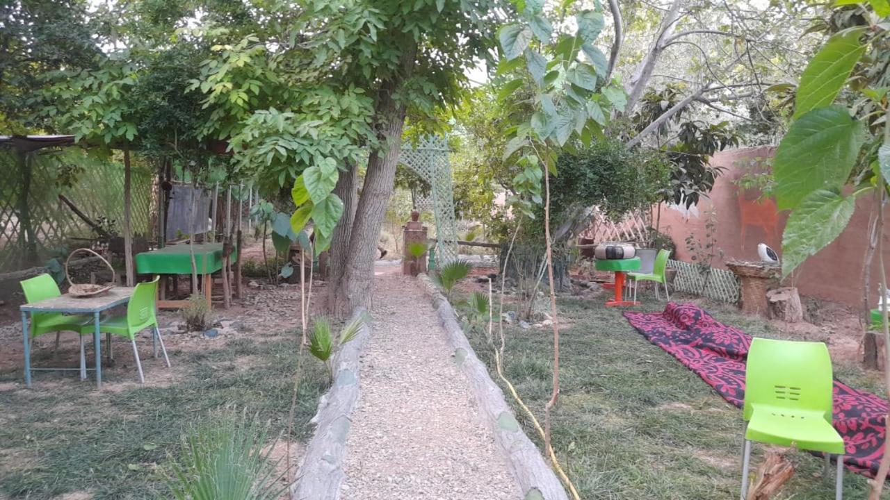 Ecogite La Tourterelle - Guesthouse