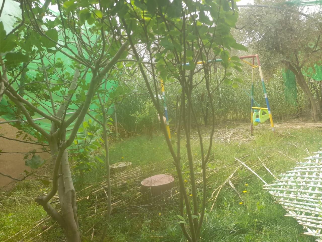 Ecogite La Tourterelle - Guesthouse