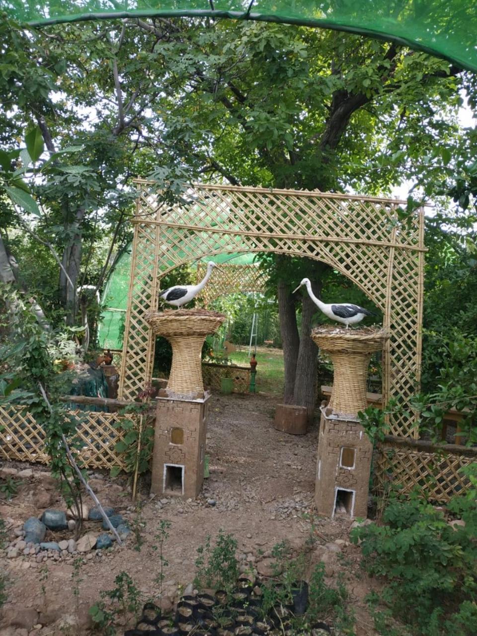 Ecogite La Tourterelle - Guesthouse