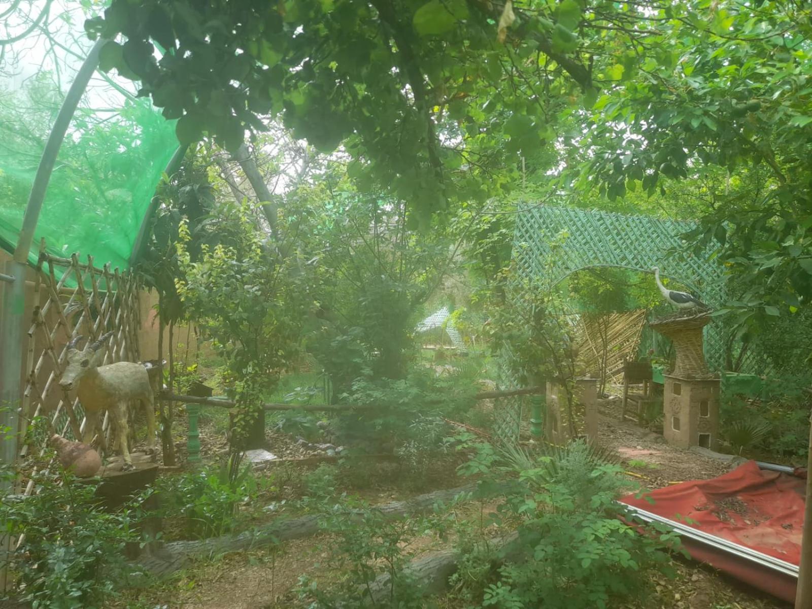 Ecogite La Tourterelle - Guesthouse