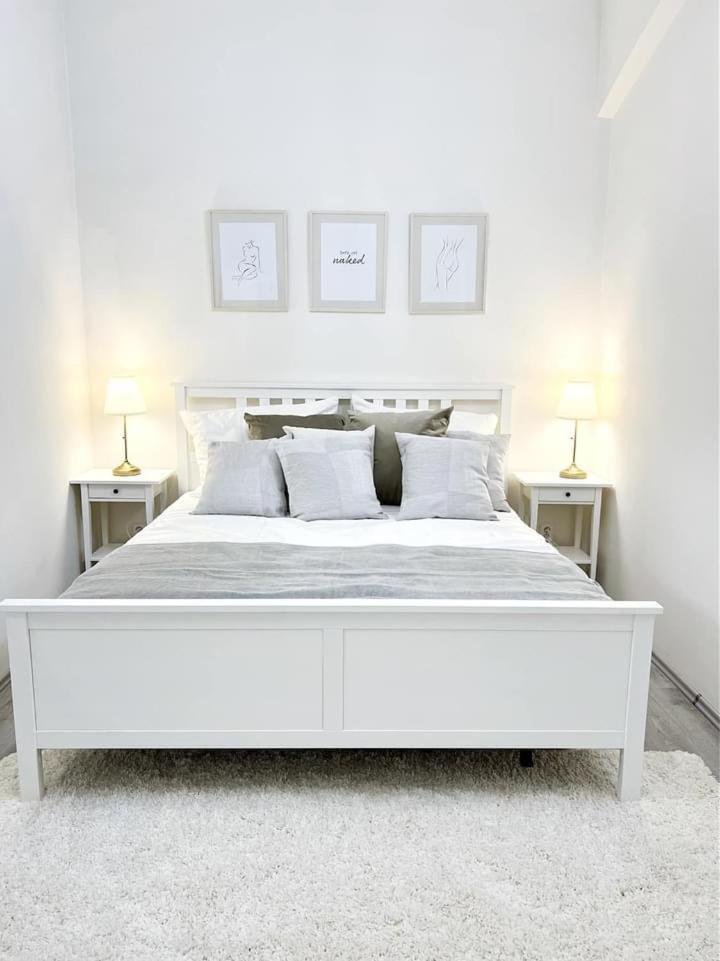 Elegant Cozy Apartment In center Prague
