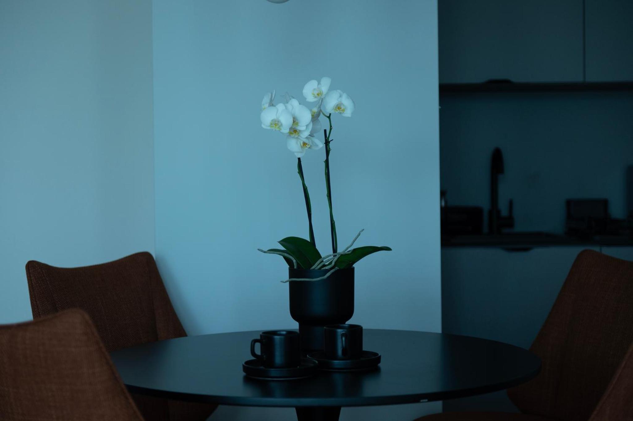 Apartamenty Janasa 13