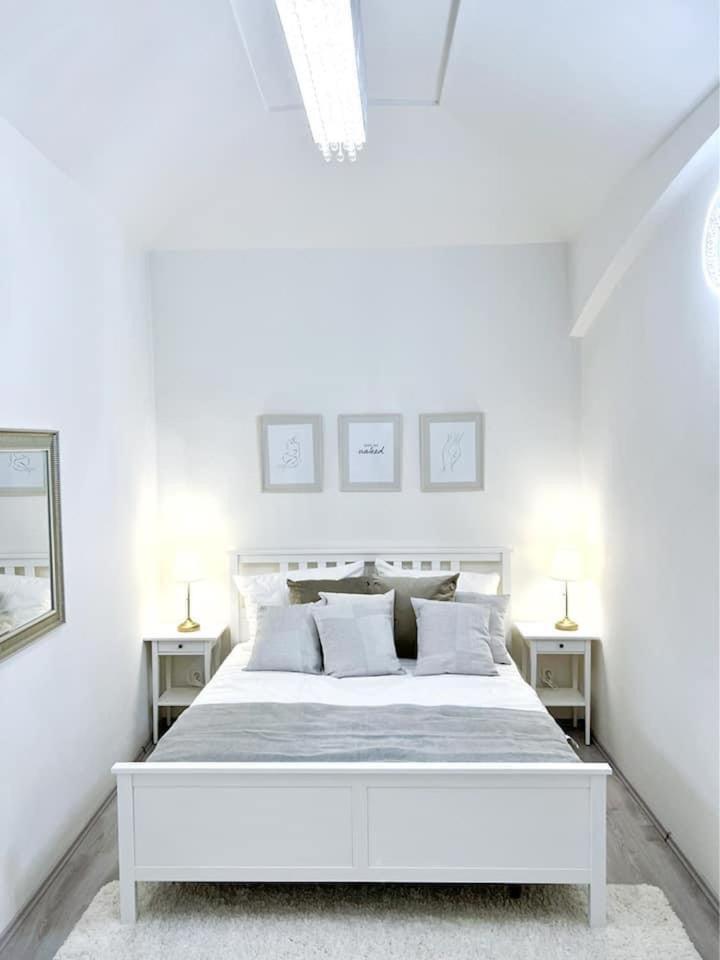 Elegant Cozy Apartment In center Prague