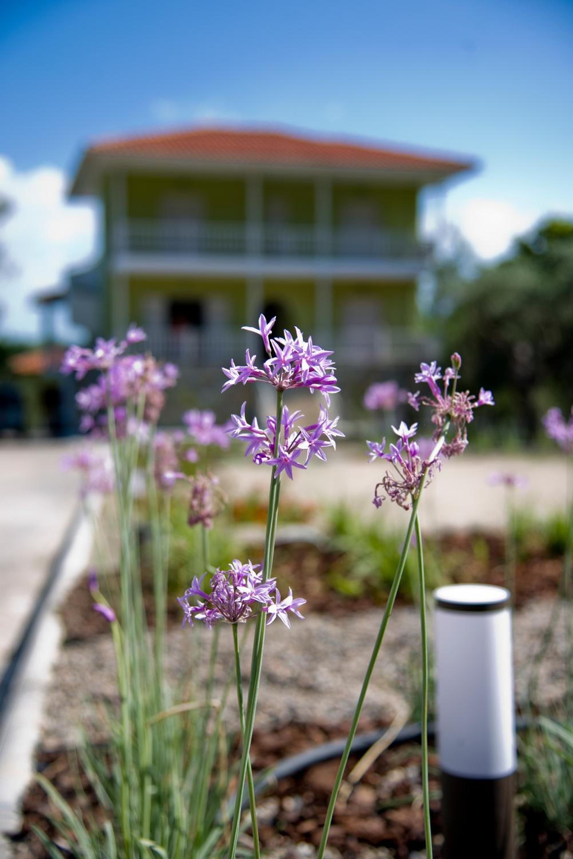 Olivegrove House view 2