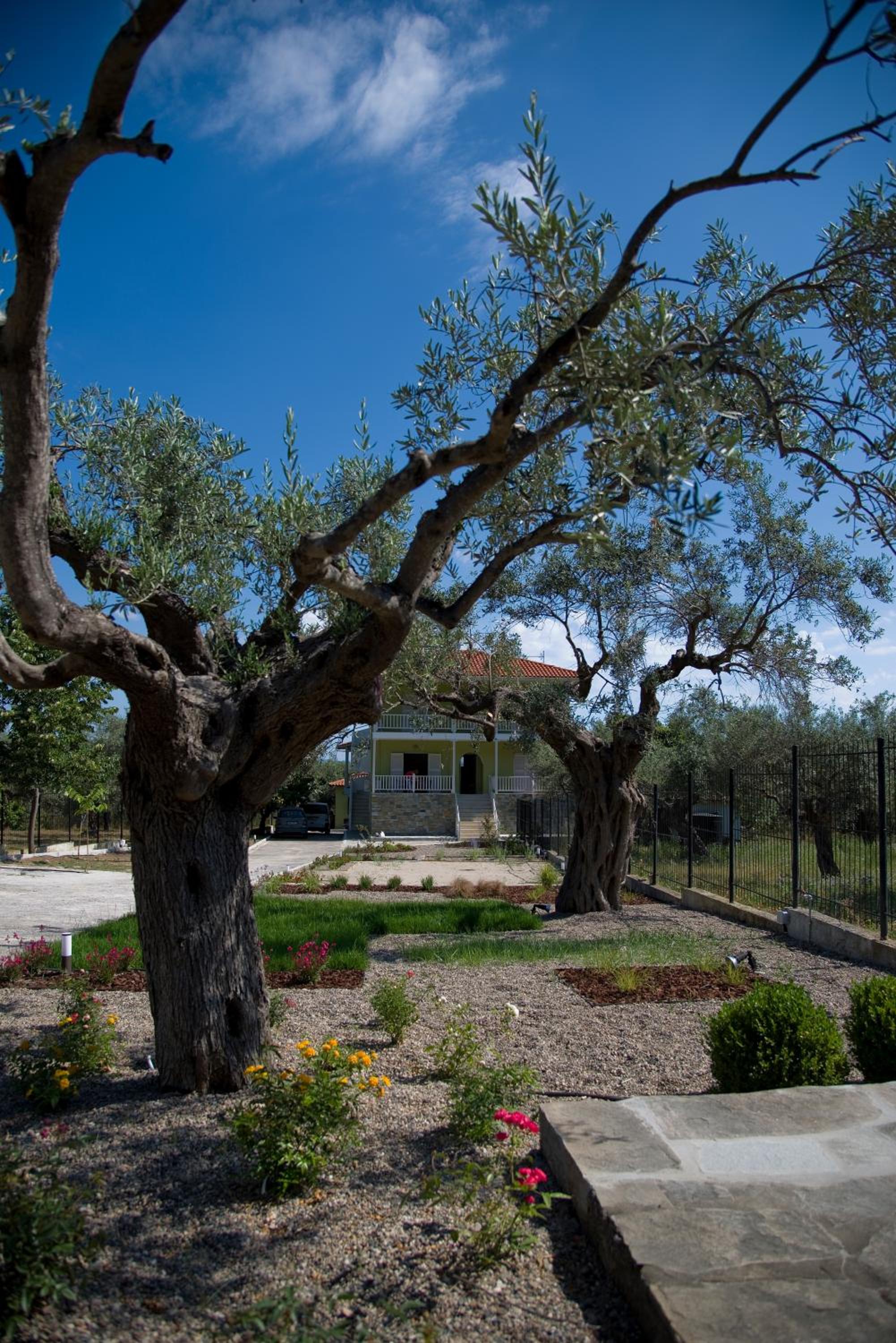 Olivegrove House view 4