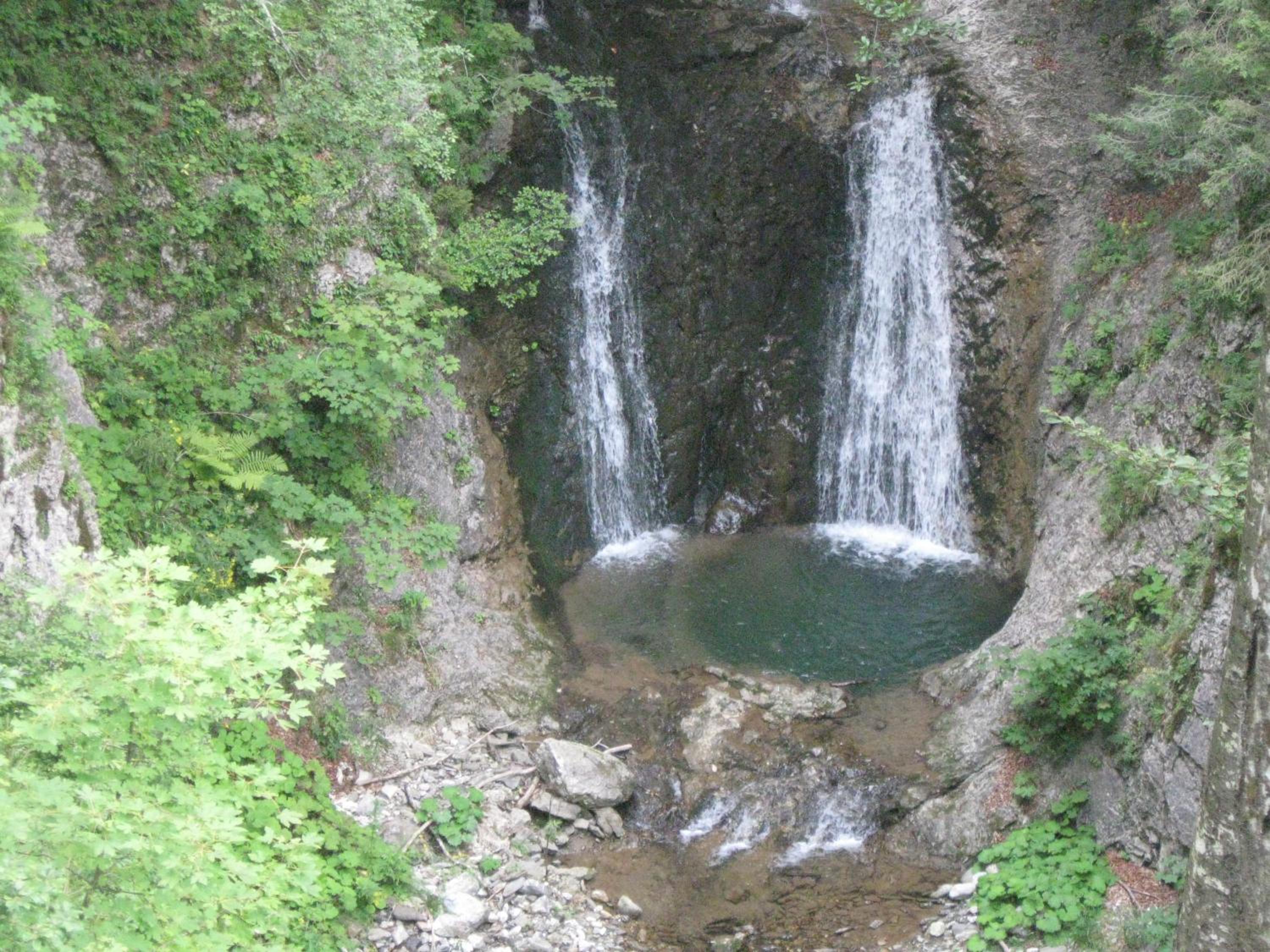 Photo 41