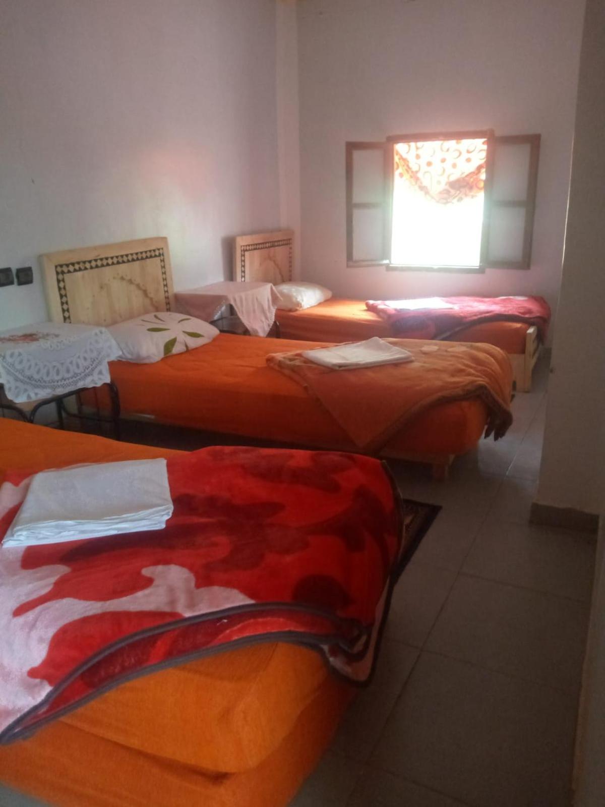 Ecogite La Tourterelle - Guesthouse