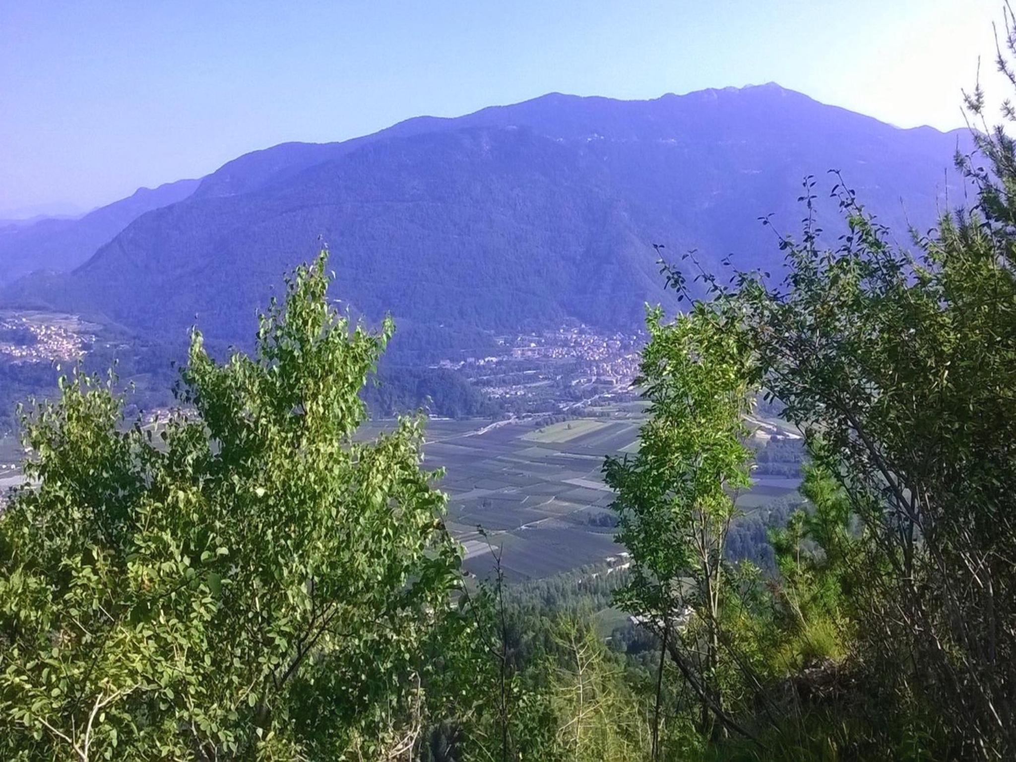 Photo 26