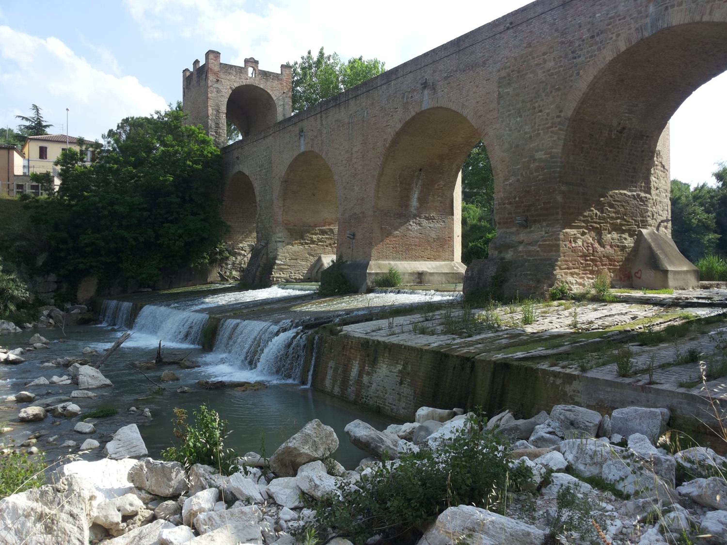 Photo 49
