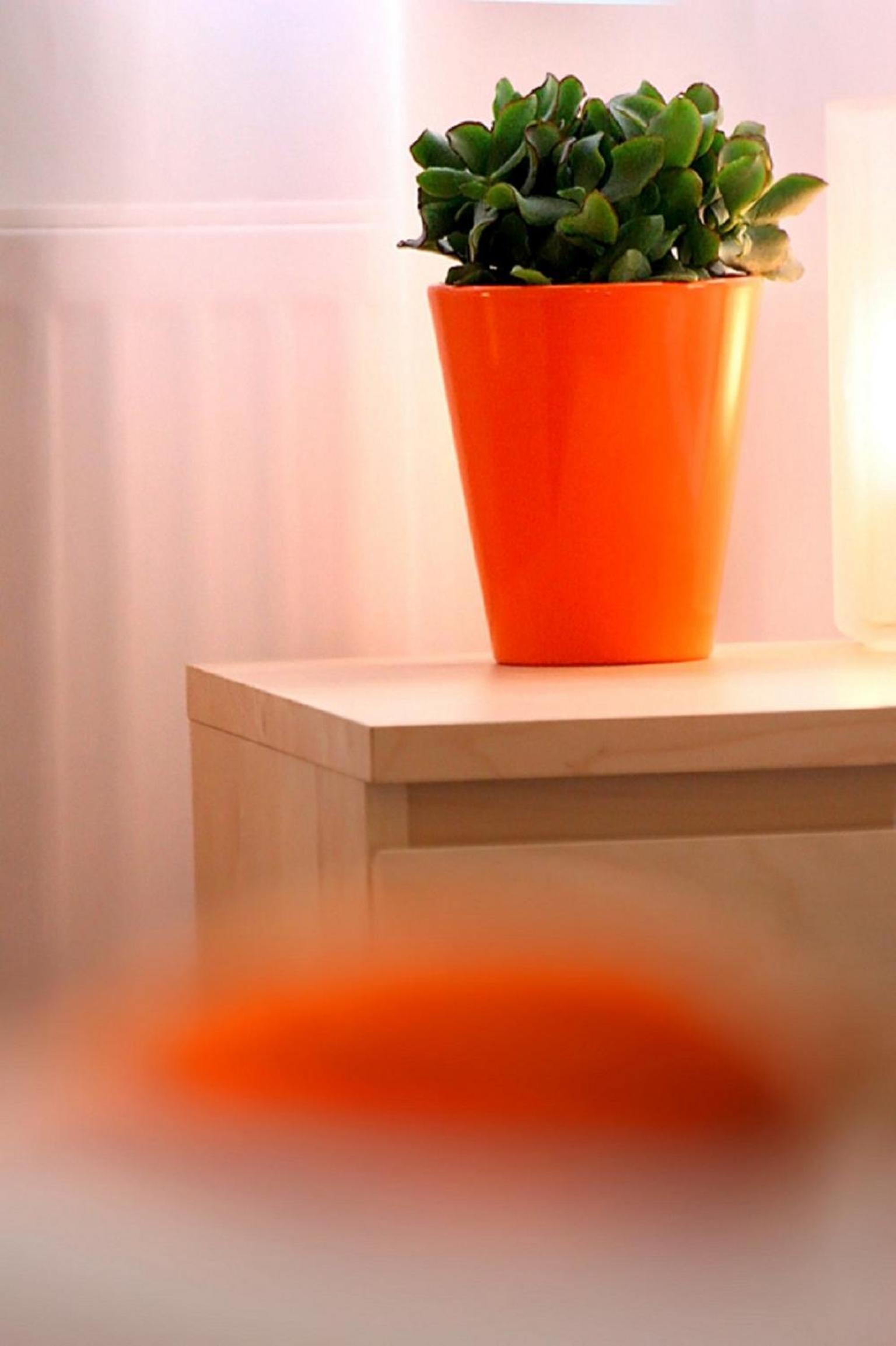 Apartamenty Pomarańczarnia