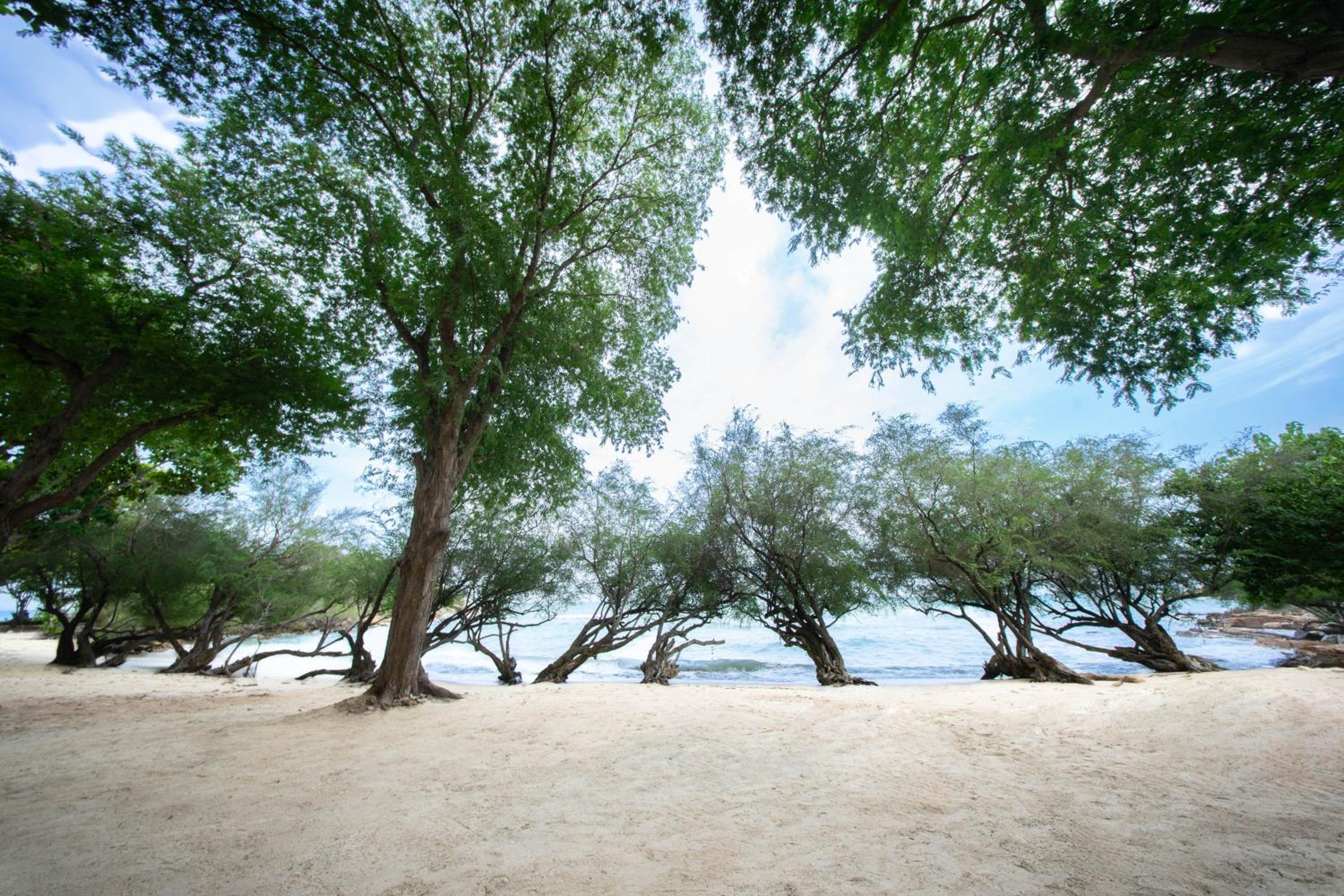 Kira Baya Koh Samed