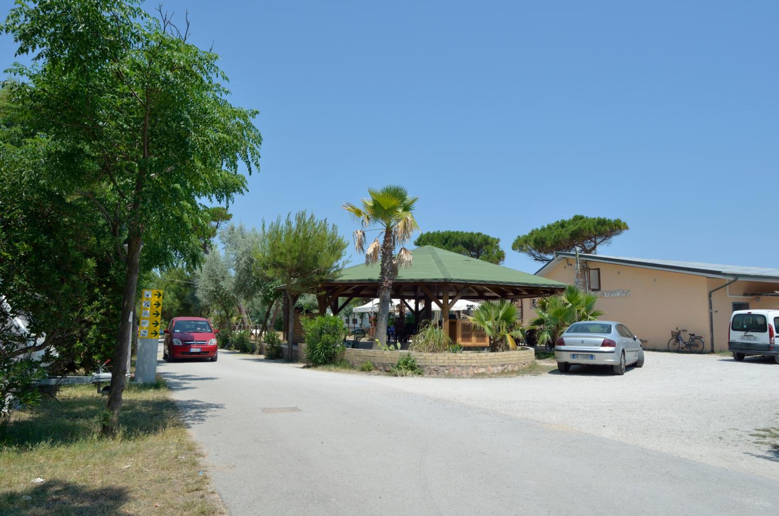 Photo 8