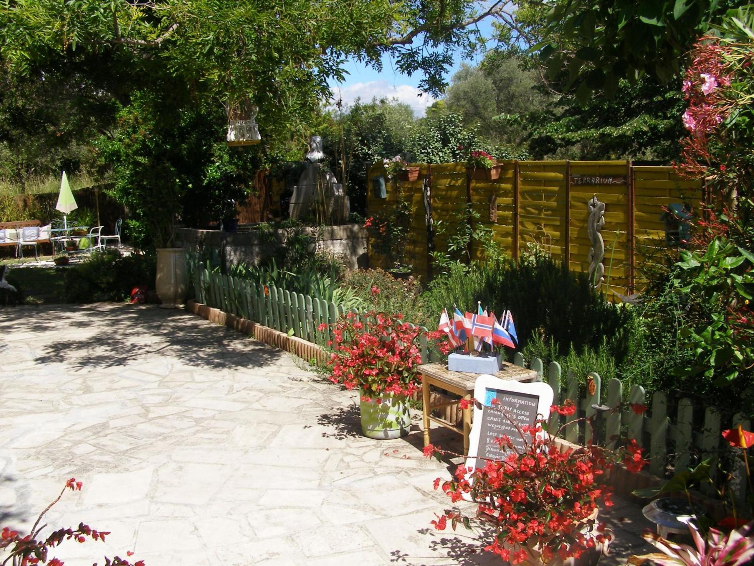 Photo 8