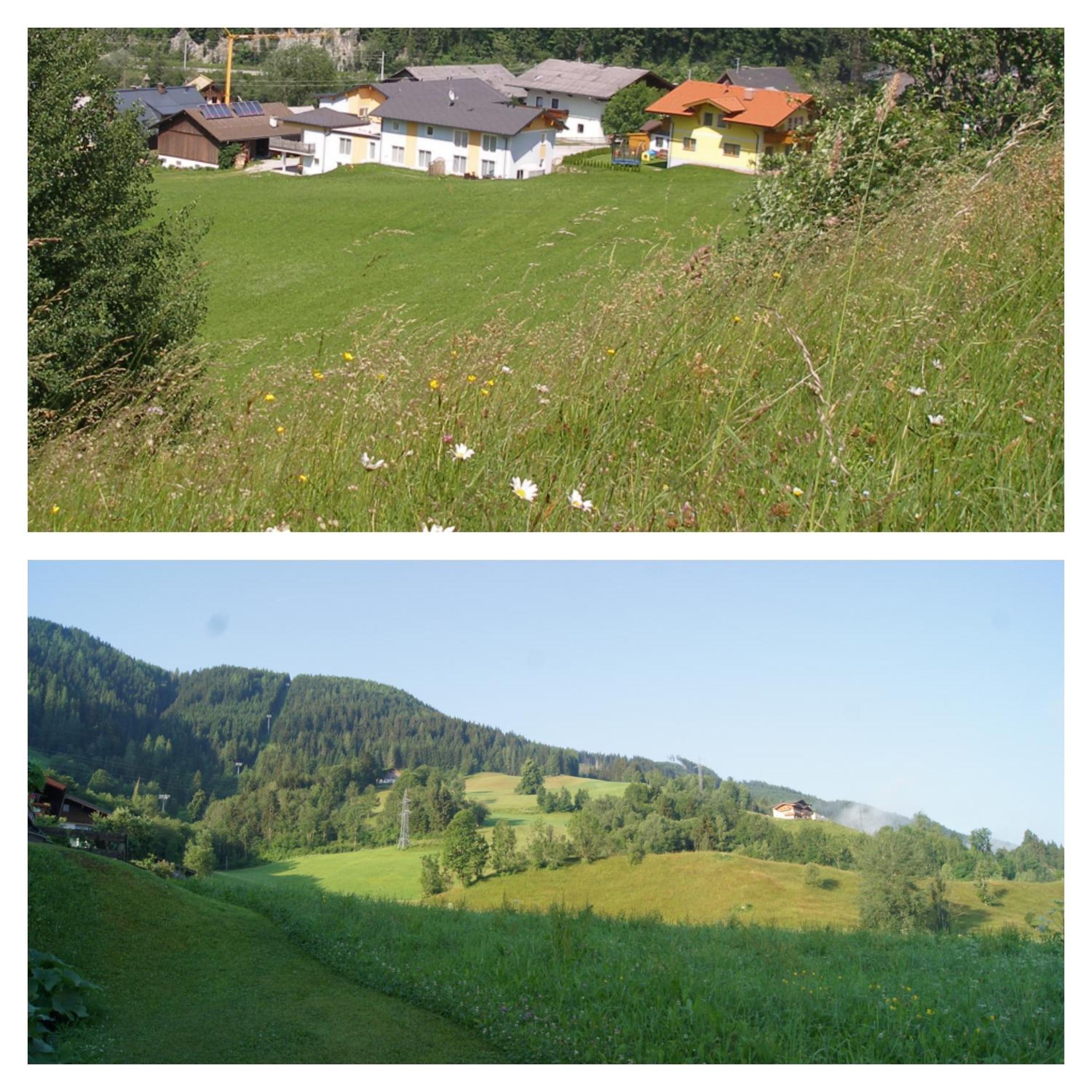 Zeffererhof
