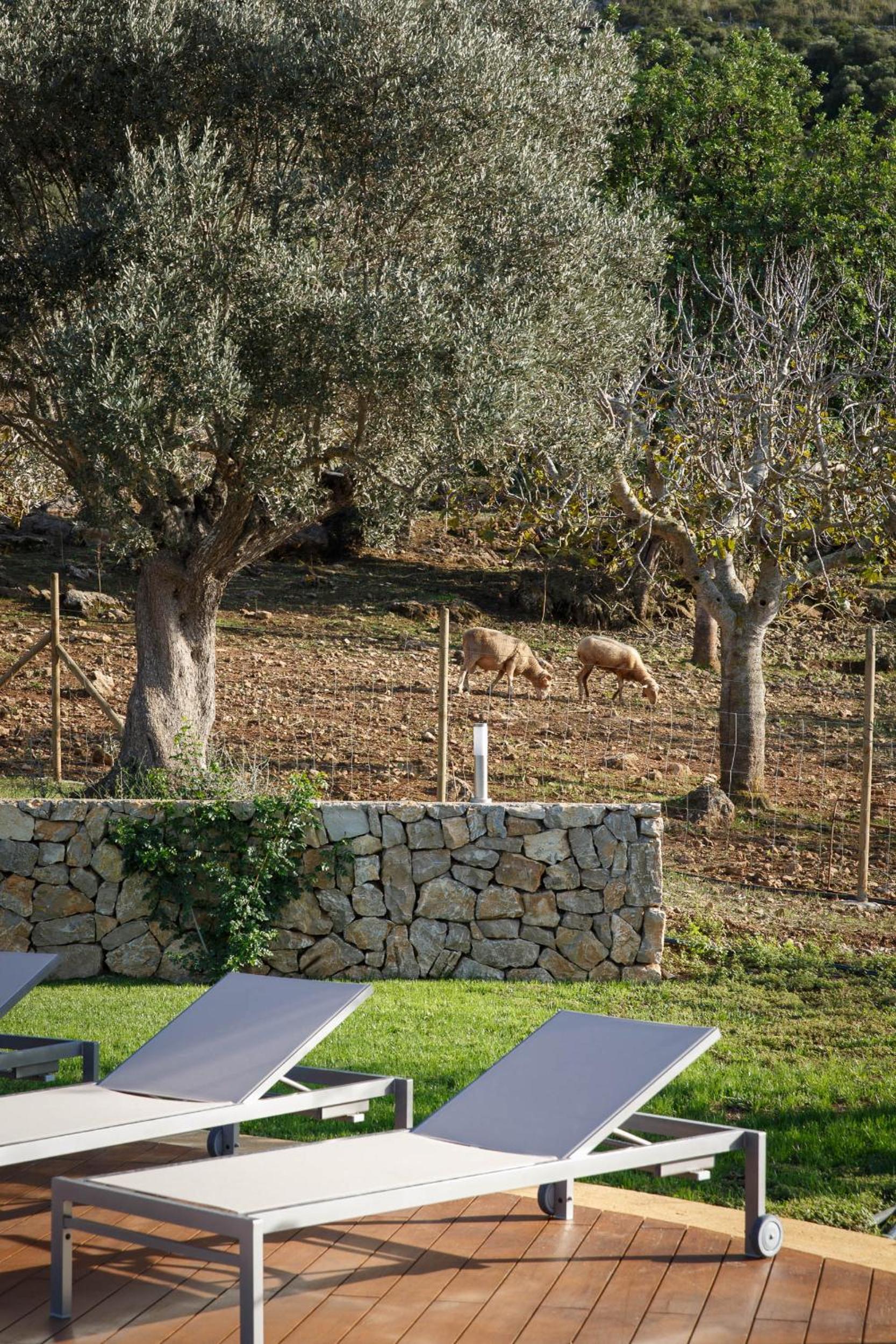 Agroturismo S'Arboçar