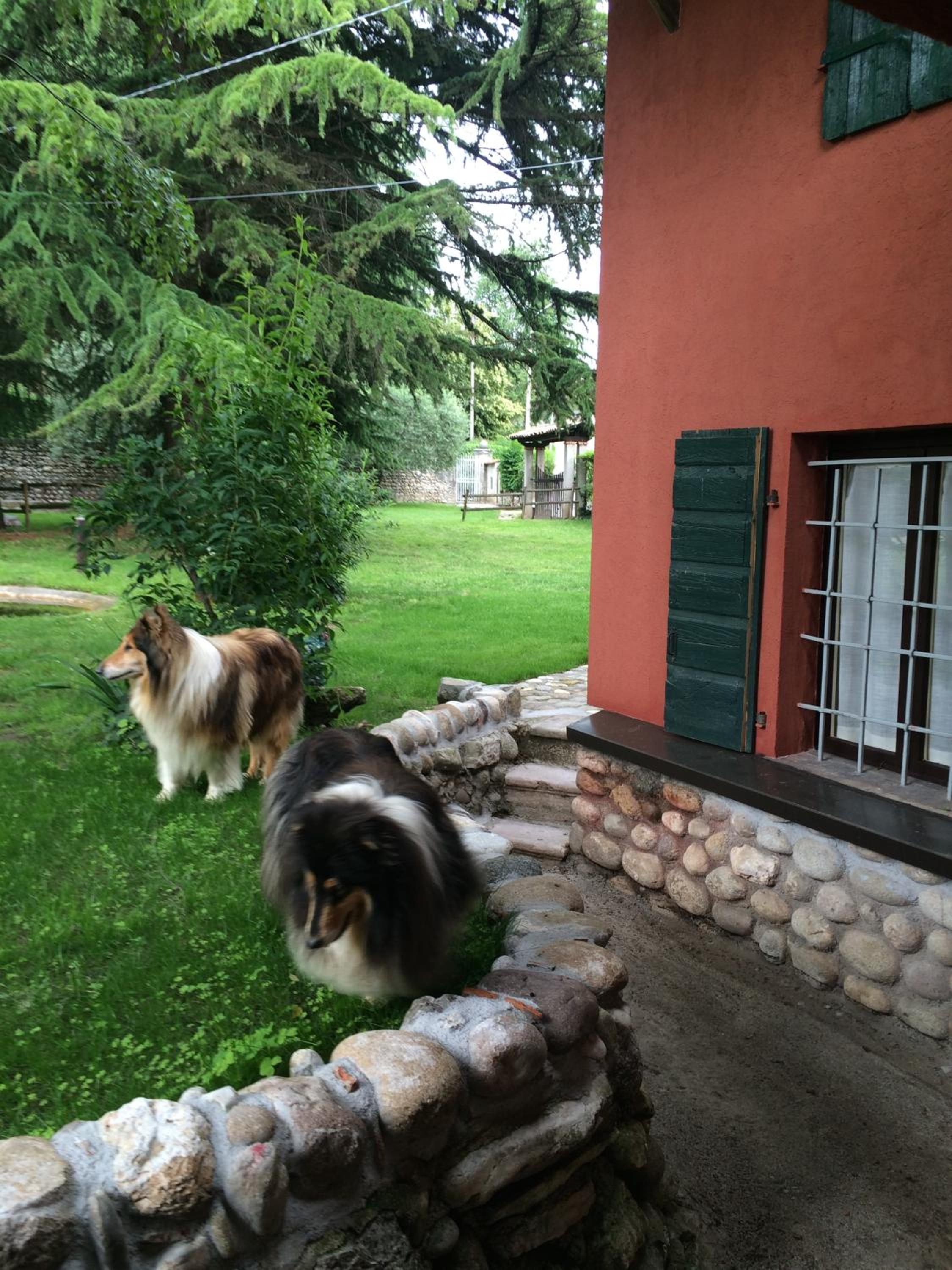 Photo 18