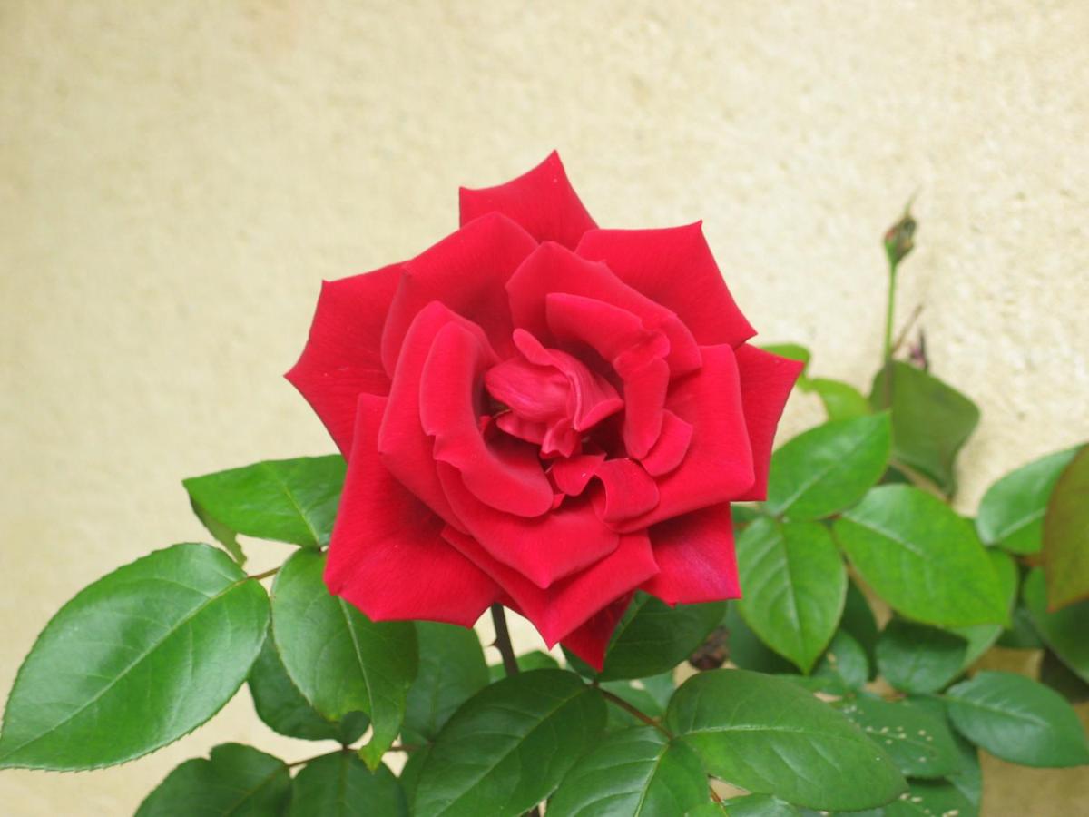 Photo 22