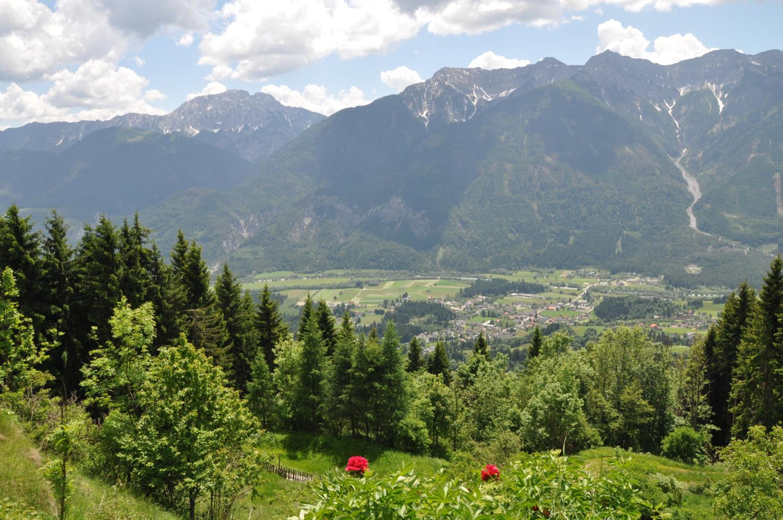 Almen-Kräuter-Oberreiter