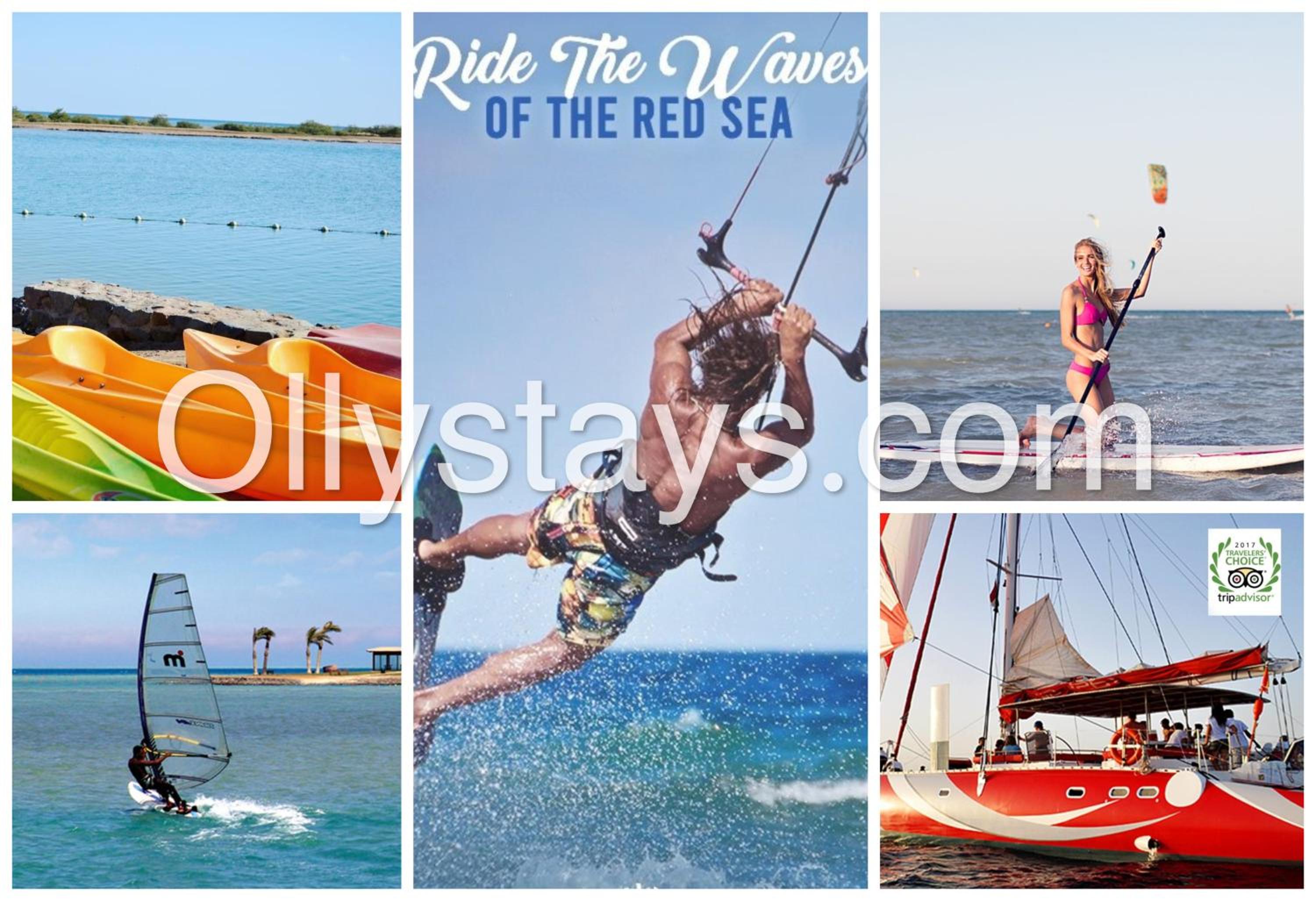 Ollystays Mangrovy Seaview Penthouse 3BR Beach & Pool access