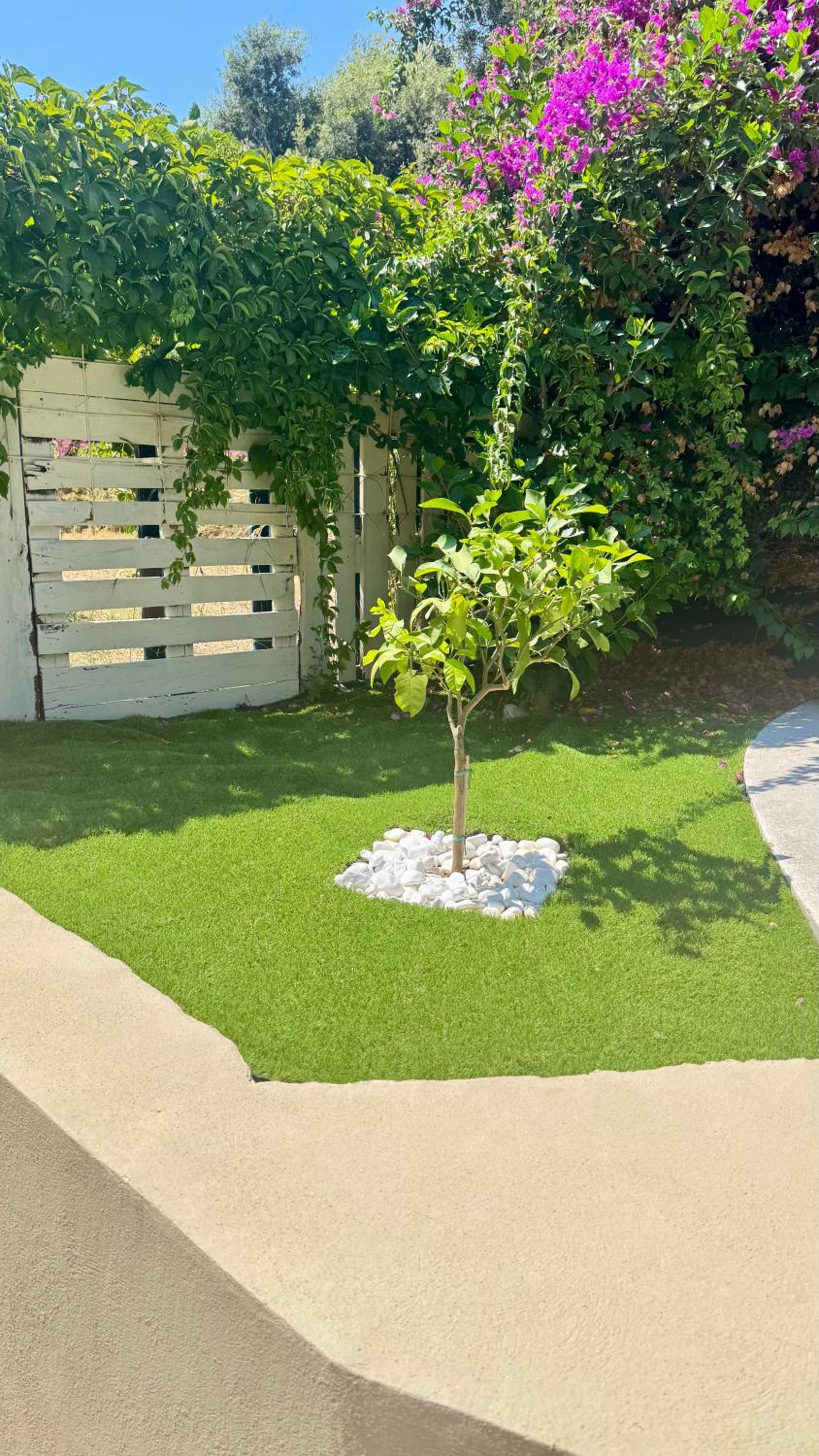 Hidden Lemons - Boho stay in Rhodes